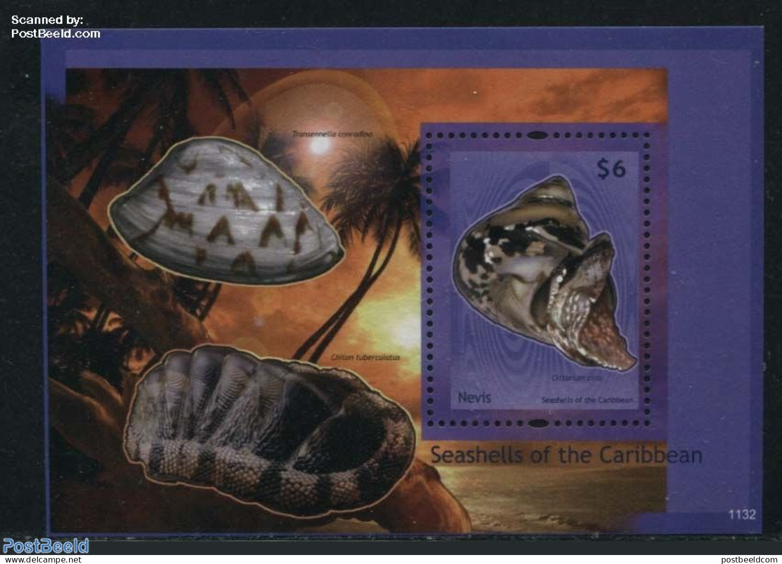 Nevis 2011 Cittarium Pica S/s, Mint NH, Nature - Shells & Crustaceans - Marine Life