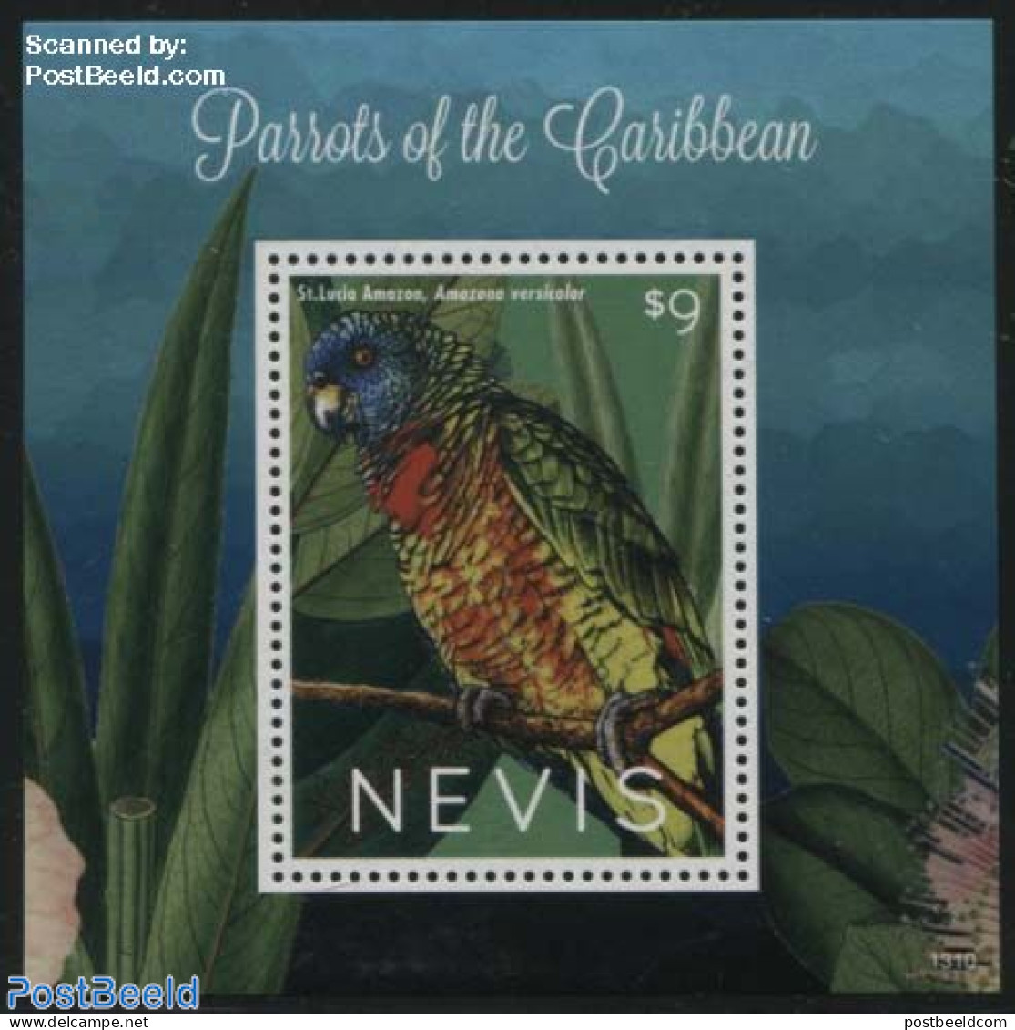 Nevis 2013 Amazona Versicolor S/s, Mint NH, Nature - Birds - Parrots - St.Kitts Und Nevis ( 1983-...)