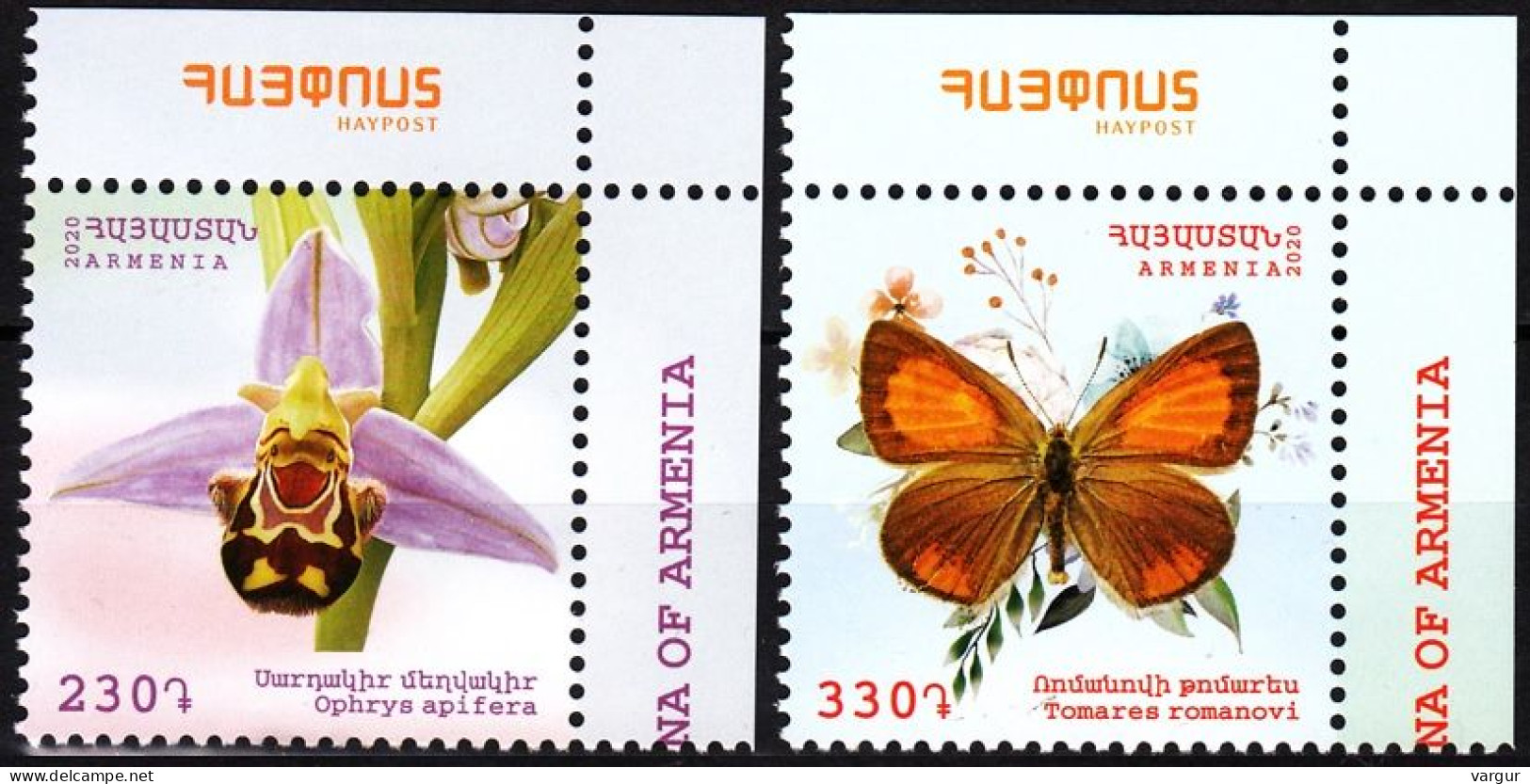 ARMENIA 2020-24 Flora And Fauna: Orchid Butterfly. Post Logo CORNER, MNH - Mariposas