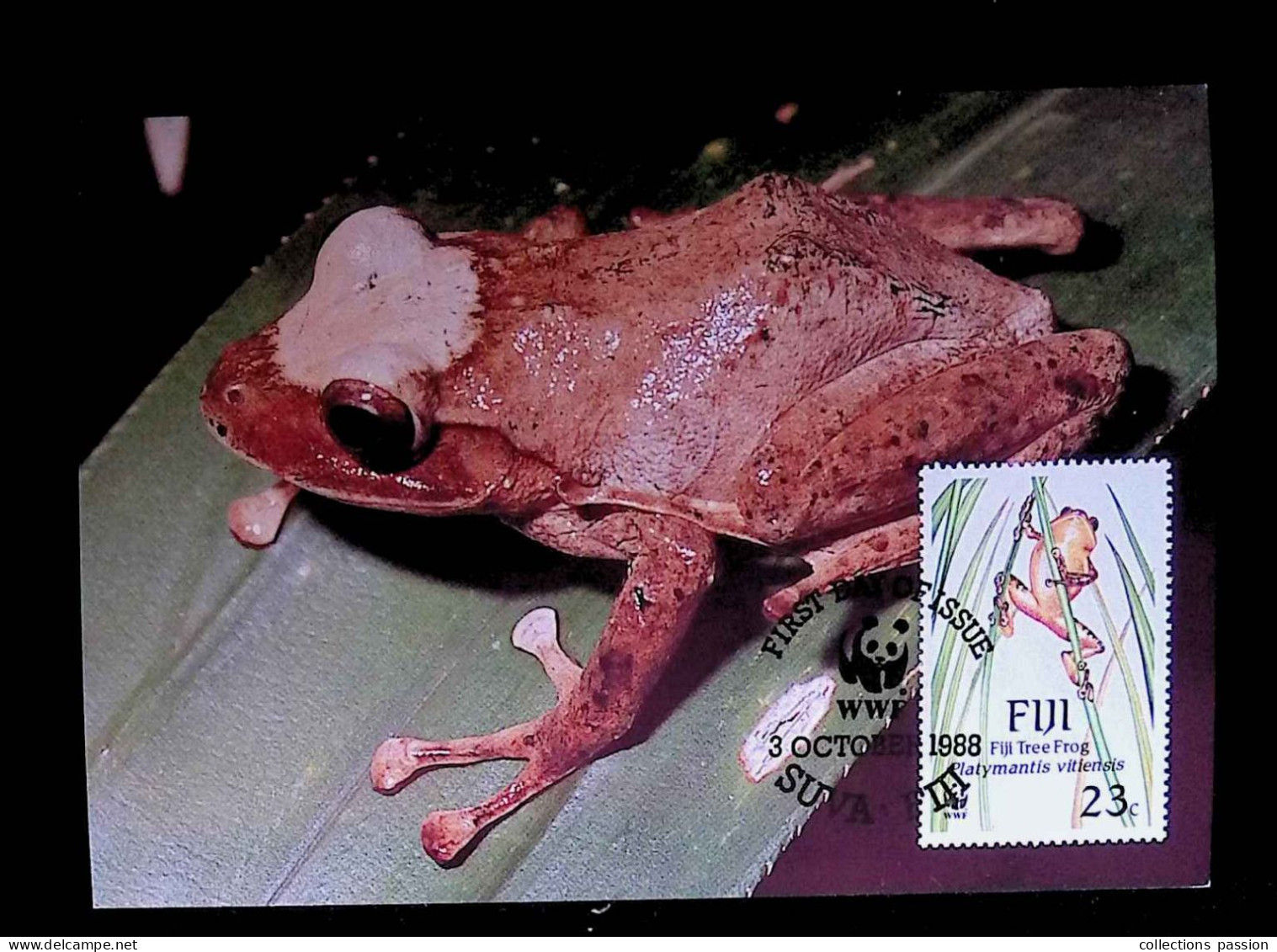 CL, FDC, Premier Jour, Fiji, Suva, 3 October 1988, WWF, Fiji Tree Frog - Fiji (1970-...)