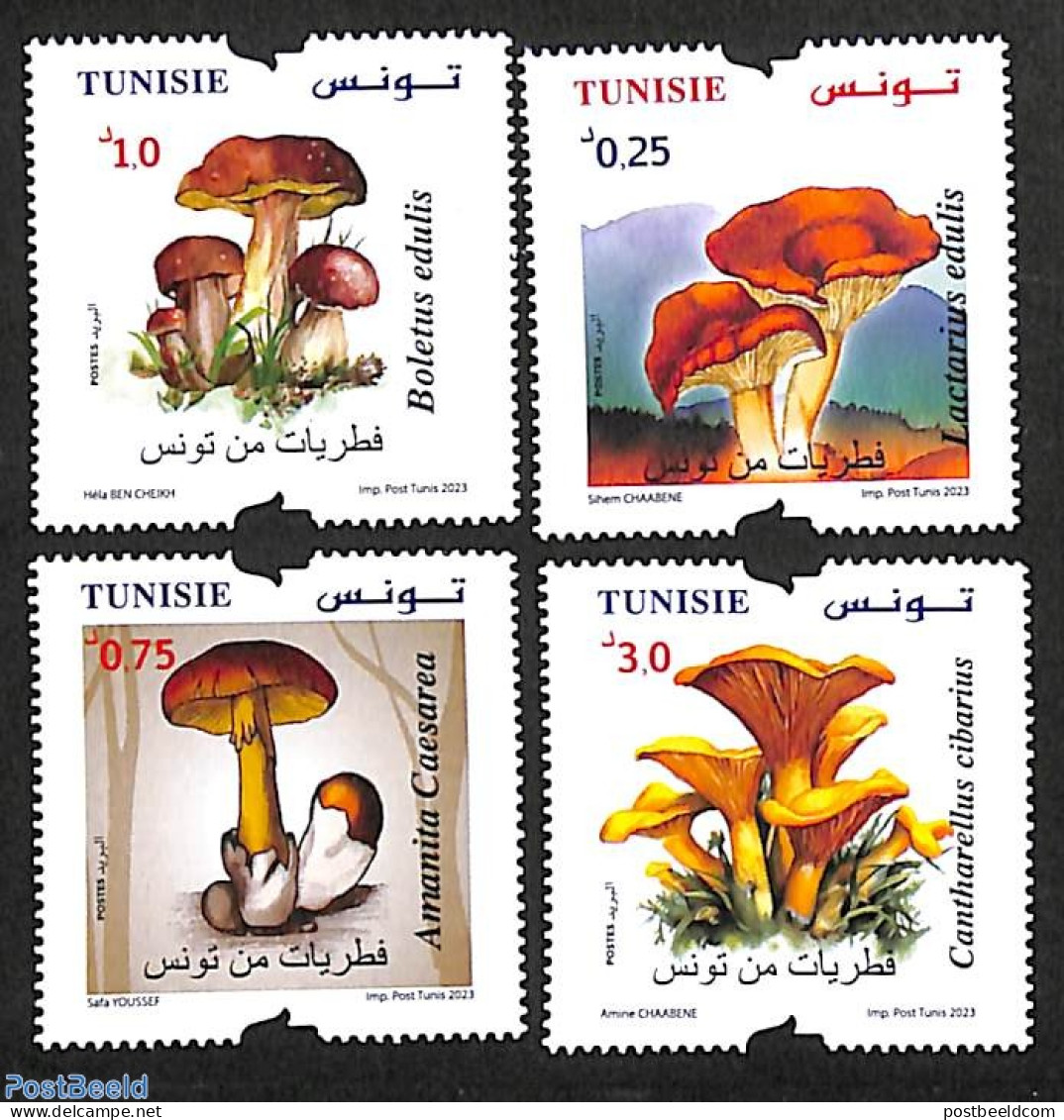 Tunisia 2023 Mushrooms 4v, Mint NH, Nature - Mushrooms - Pilze
