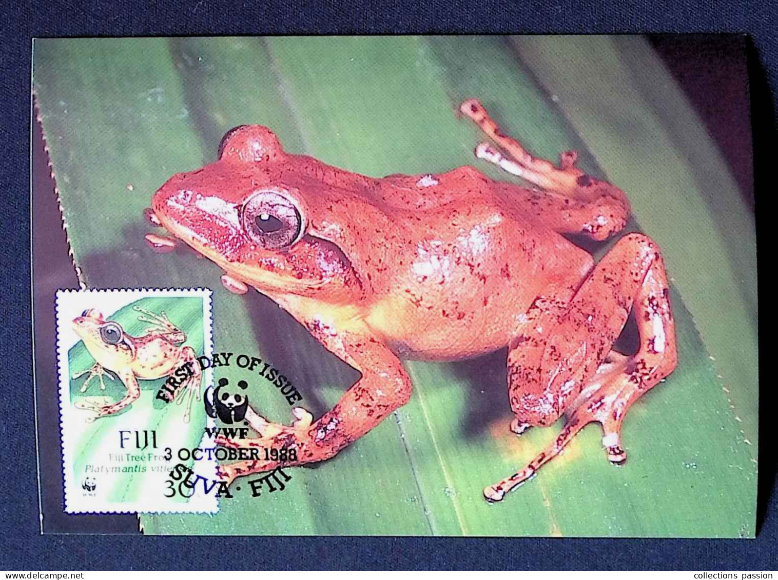 CL, FDC, Premier Jour, Fiji, Suva, 3 October 1988, WWF, Fiji Tree Frog - Fidji (1970-...)