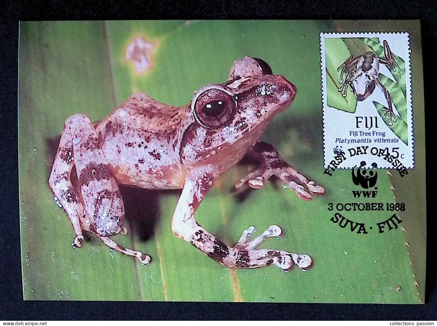 CL, FDC, Premier Jour, Fiji, Suva, 3 October 1988, WWF, Fiji Tree Frog - Fiji (1970-...)