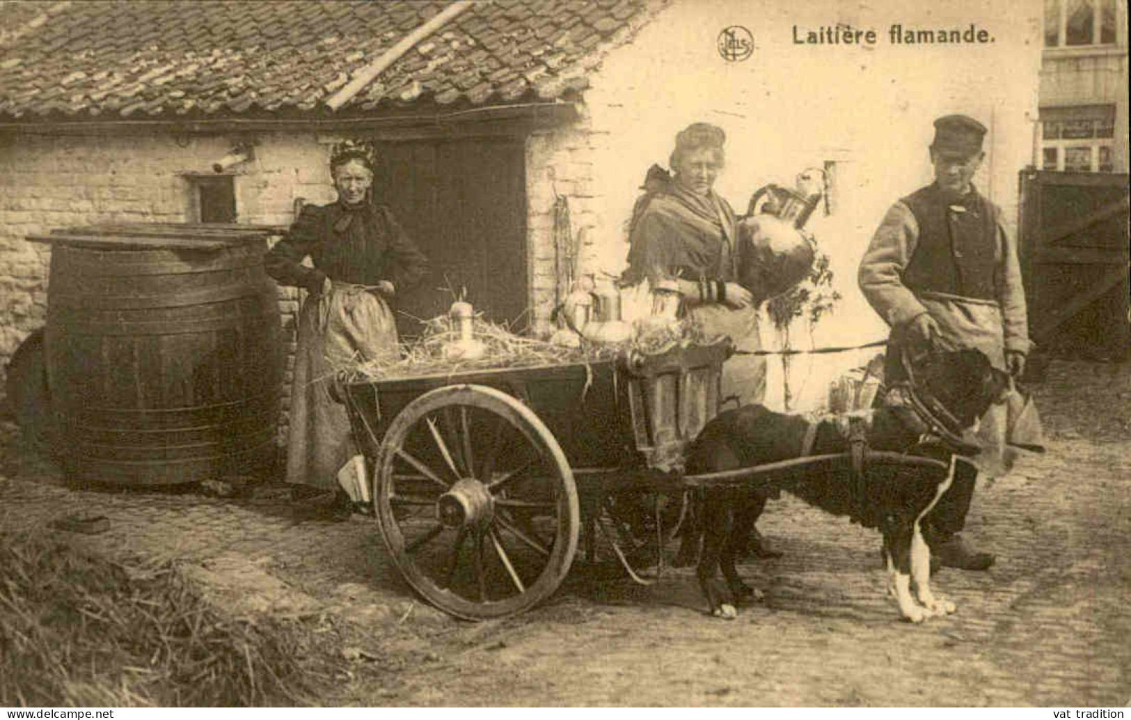 MÉTIERS -  Carte Postale -  Laitière Flamande Avec Attelage De Chien - L 152063 - Street Merchants