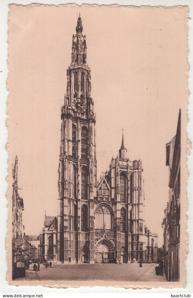 Antwerpen - De Hoofdkerk / Anvers - La Cathédrale - (Belgique/België) - 1951 - Antwerpen