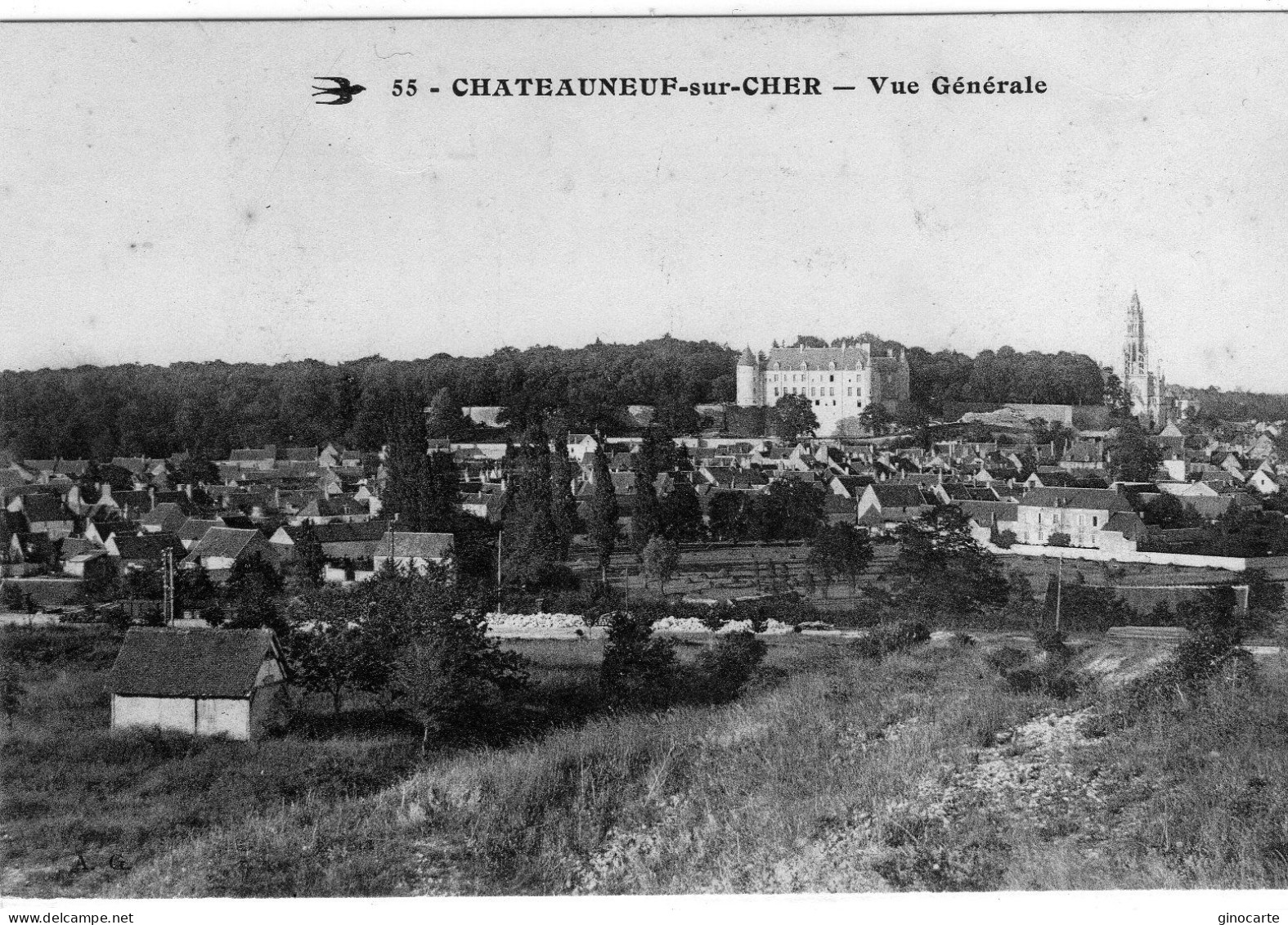 Chateauneuf Sur Cher Vue Generale - Chateauneuf Sur Cher