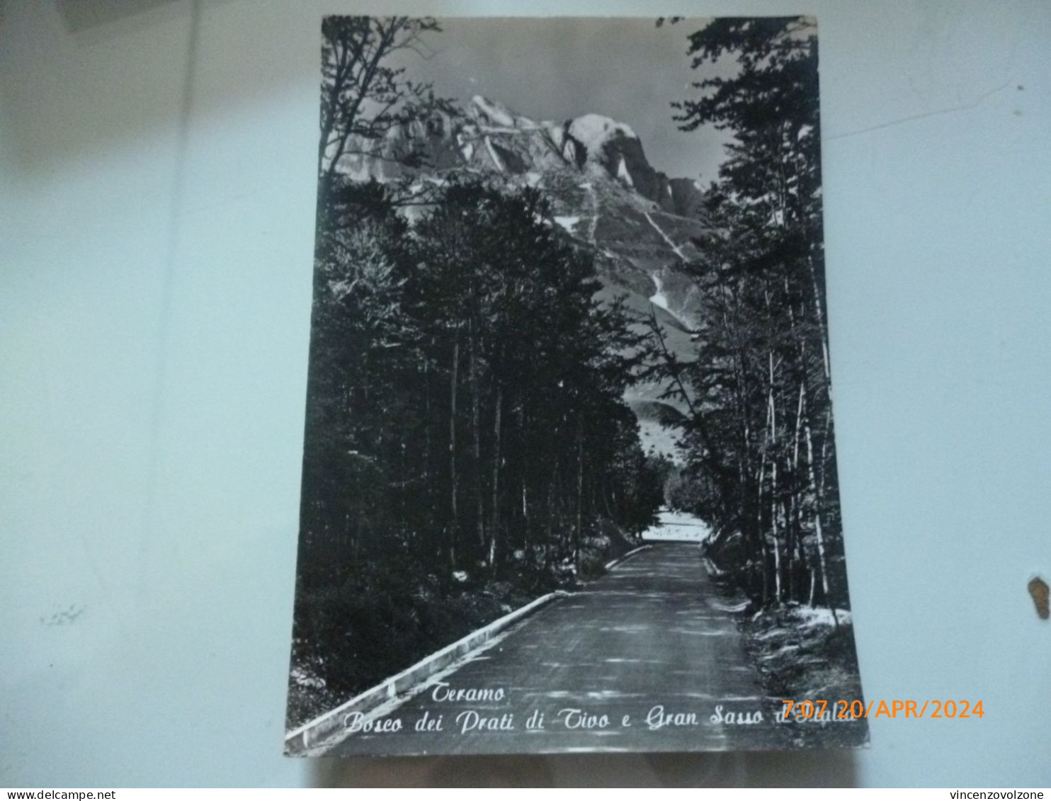 Cartolina  Viaggiata "TERAMO Bosco Dei Prati Di Tiso E Gran Sasso D'Italia" 1964 - Teramo