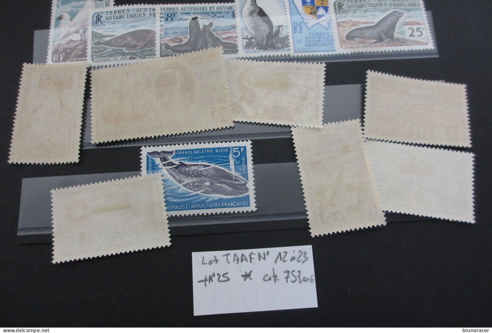 TAAF N°12 à 23 + N°25 NEUF* COTE 757 EUROS VOIR SCANS - Unused Stamps