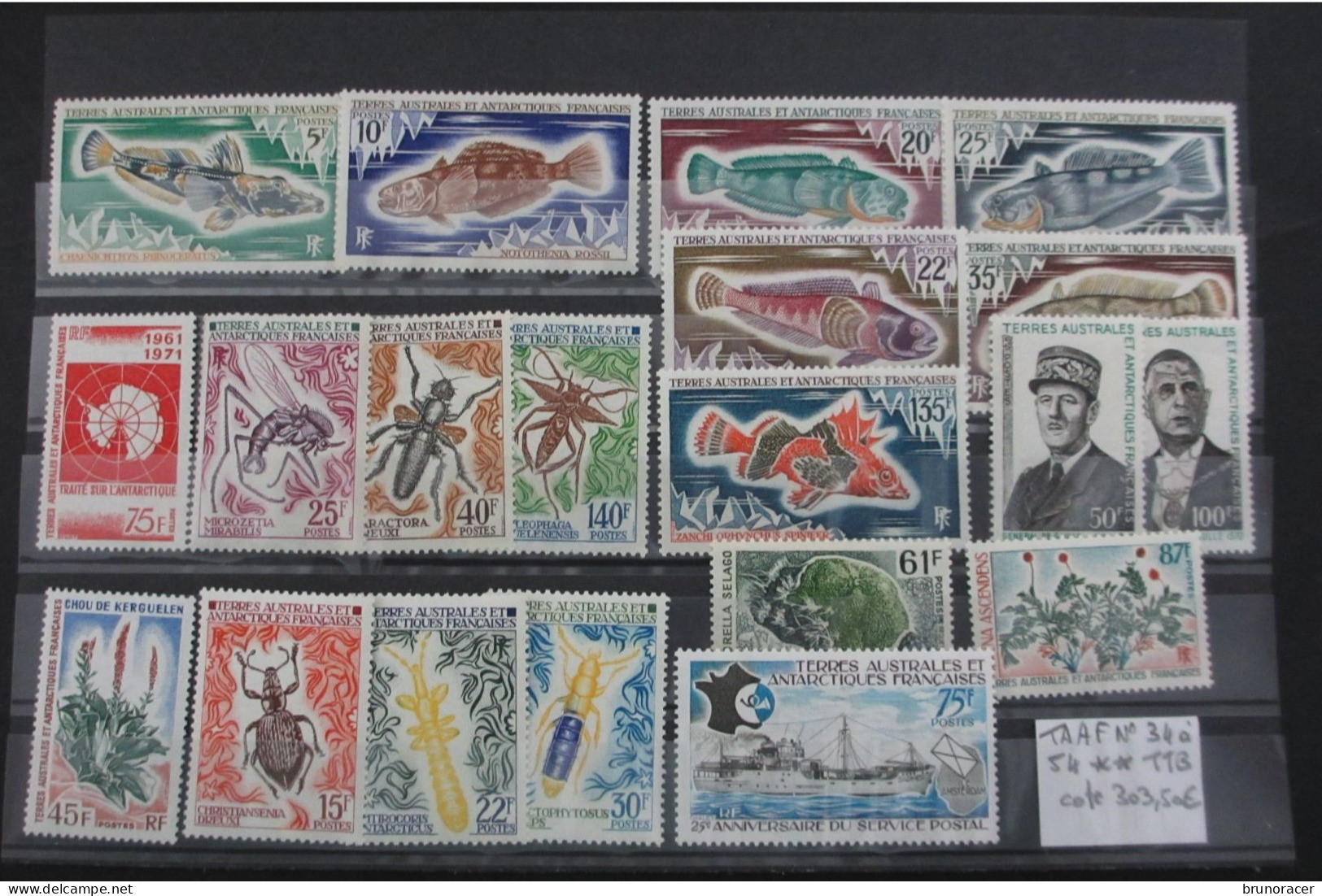 TAAF N°34 à 54 NEUF** TTB COTE 303,50 EUROS VOIR SCANS - Unused Stamps