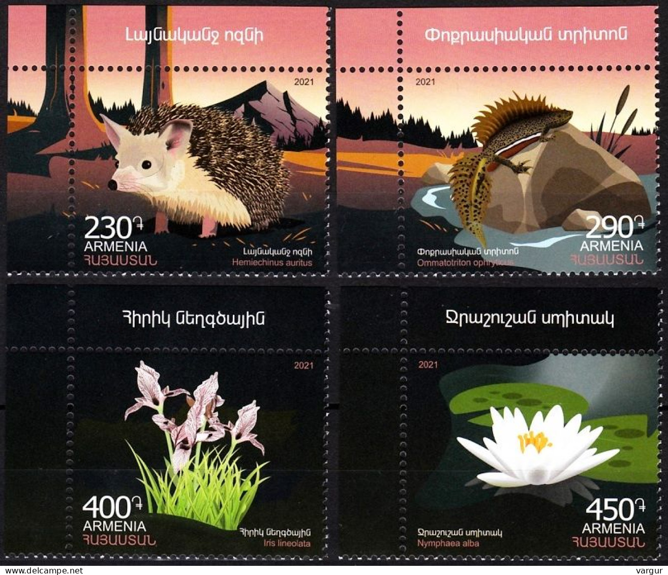 ARMENIA 2021-35 Flora And Fauna. Hedgehog, Newt And Flowers. CORNER, MNH - Protection De L'environnement & Climat