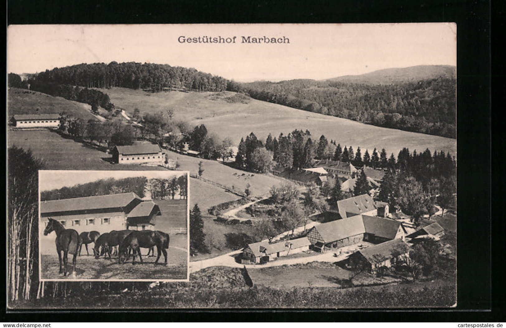 AK Marbach, Gestütshof Mit Umgebung Aus Der Vogelschau, Pferde  - Marbach