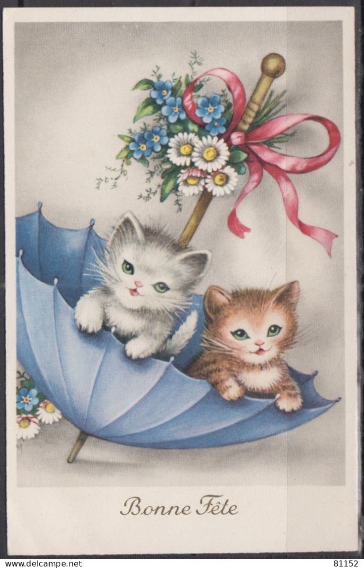 CPSM    FANTAISIE " Bonne Fete " Avec Petits Chats Année 1957 - Other & Unclassified