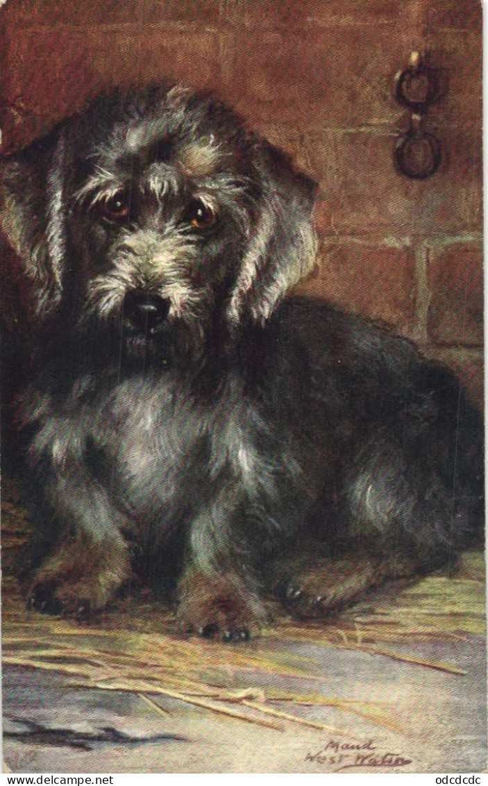 Maud West Natin Chien" PET DOGS"  Dandie Didmont Terrier RV TUCK's - Cani