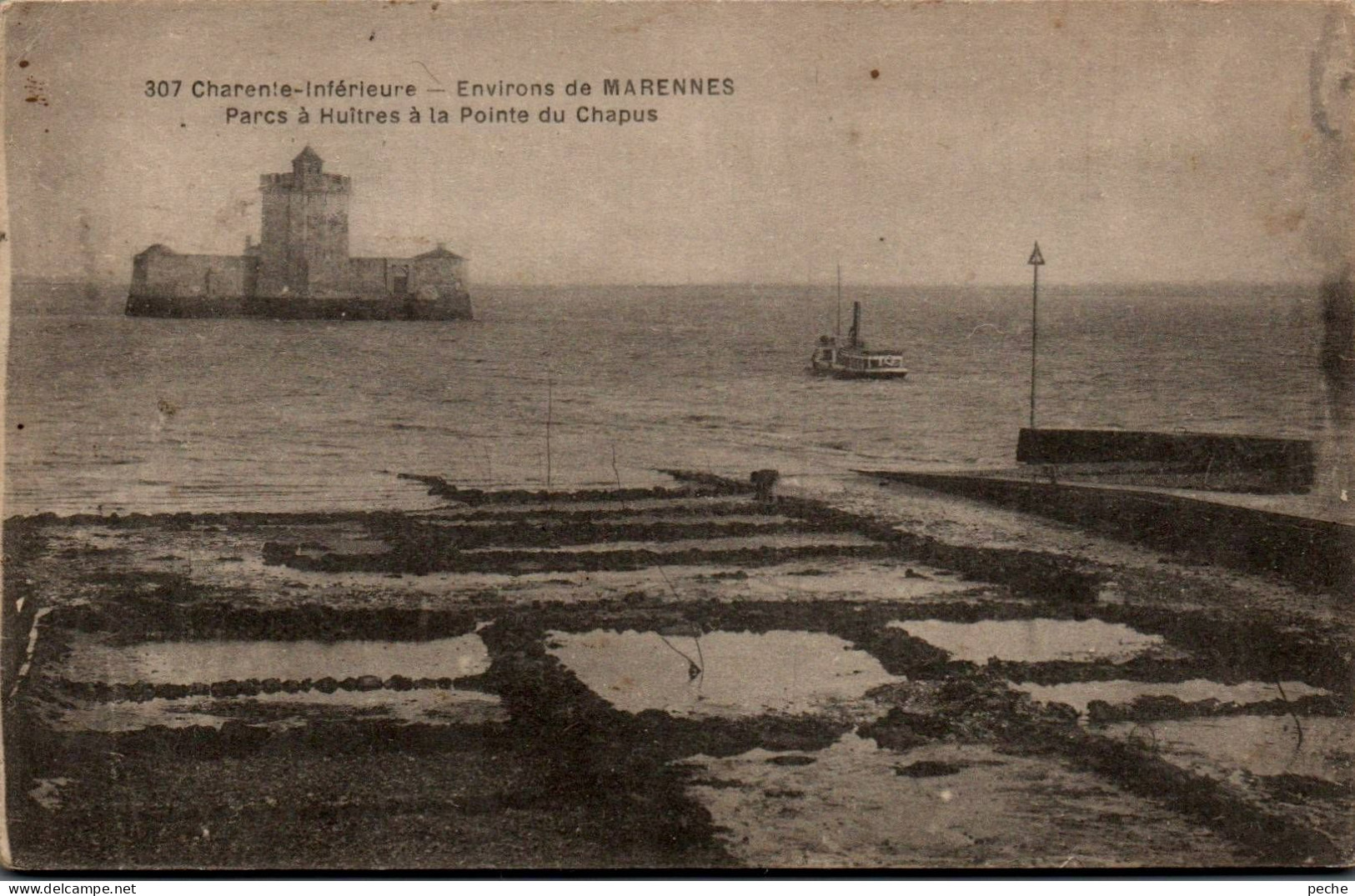 N°321 W -cpa Marennes -parc à Huîtres à La Pointe Du Chapus- - Visvangst