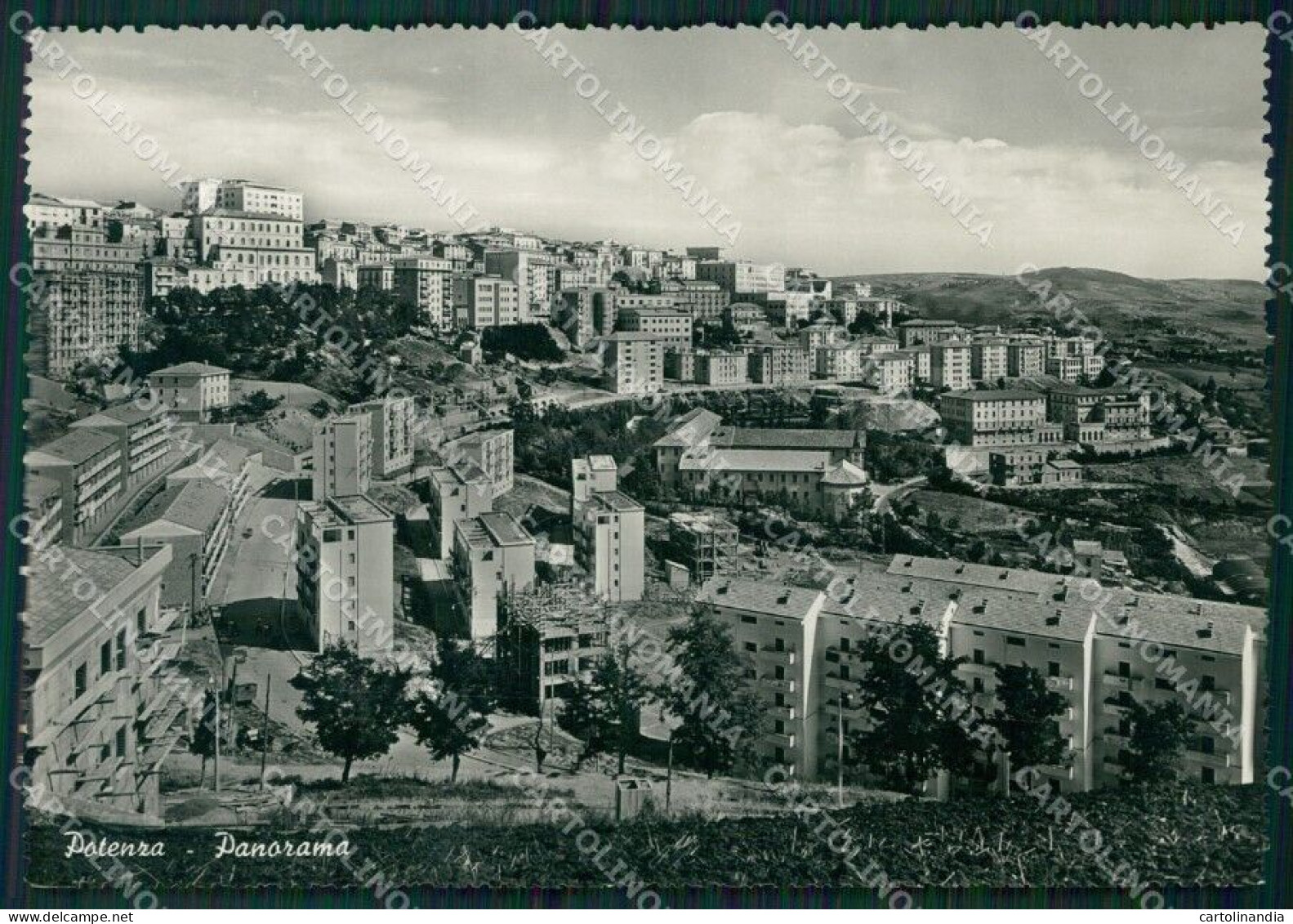 Potenza Città Foto FG Cartolina ZK1069 - Potenza