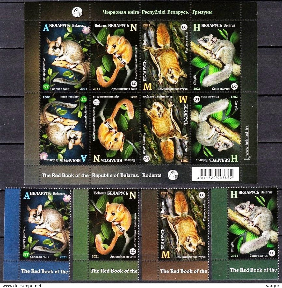 BELARUS 2021-06 FAUNA: Rodents. Dormouse, Flying Squirrel. CORNER Set & Mini-Sheet, MNH - Nager