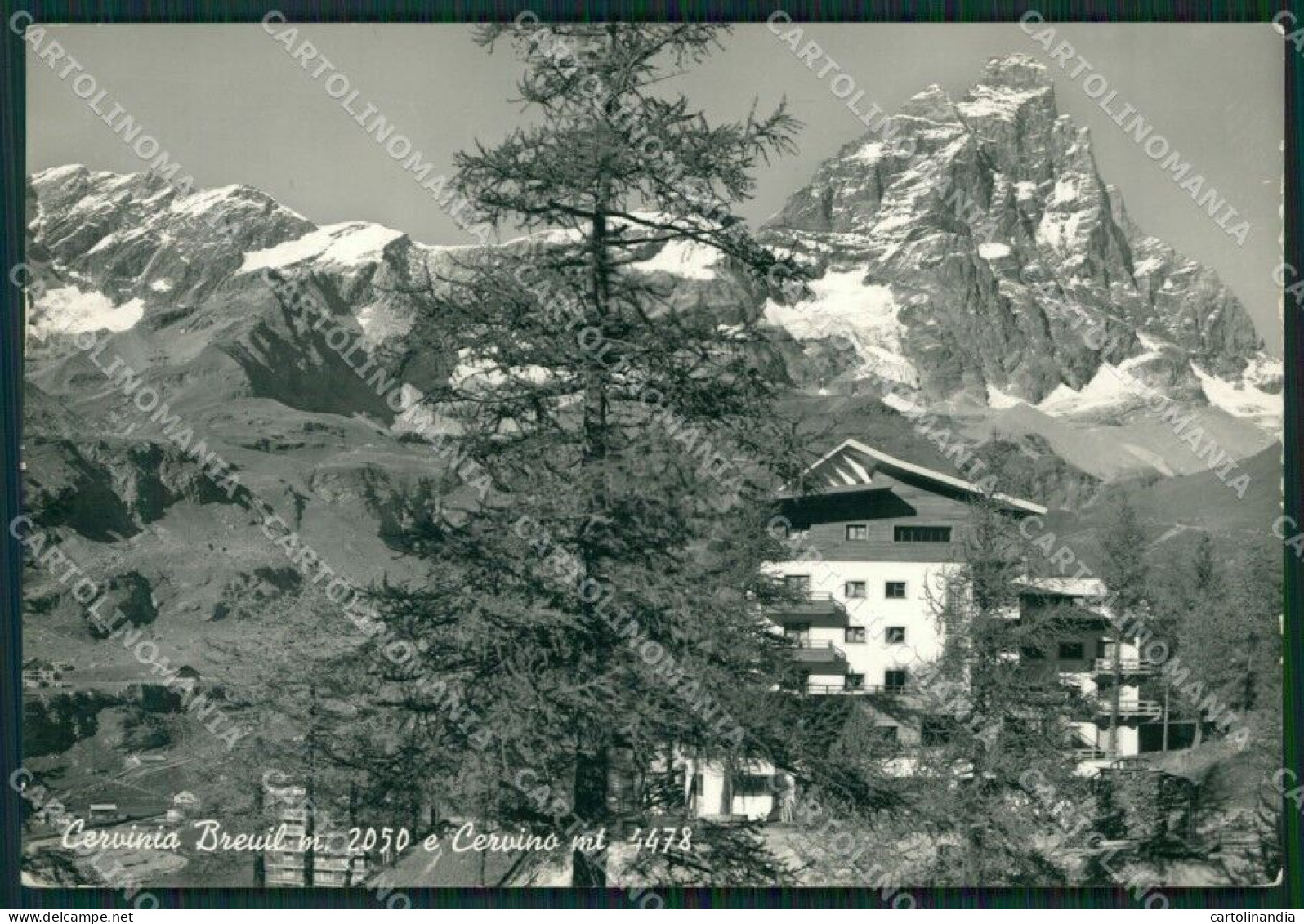 Aosta Valtournanche Cervinia Breuil Foto FG Cartolina ZK5318 - Aosta