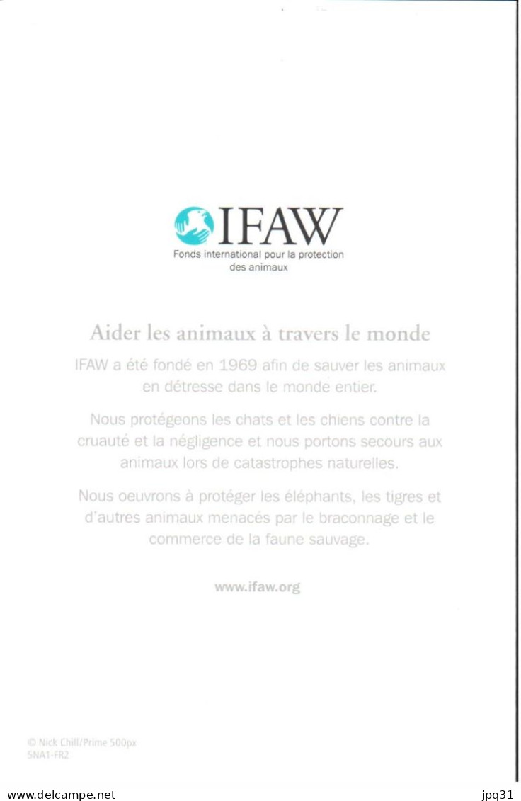 Carte Double IFAW Aider Les Animaux à Travers Le Monde - Chaton - Ref 5NA1-FR2 - Katten