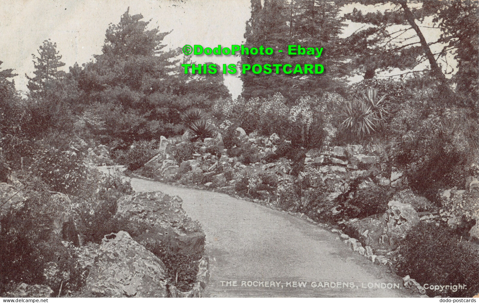 R435103 London. Kew Gardens. The Rockery. G. D. And D. The Star Series. 1907 - Sonstige & Ohne Zuordnung