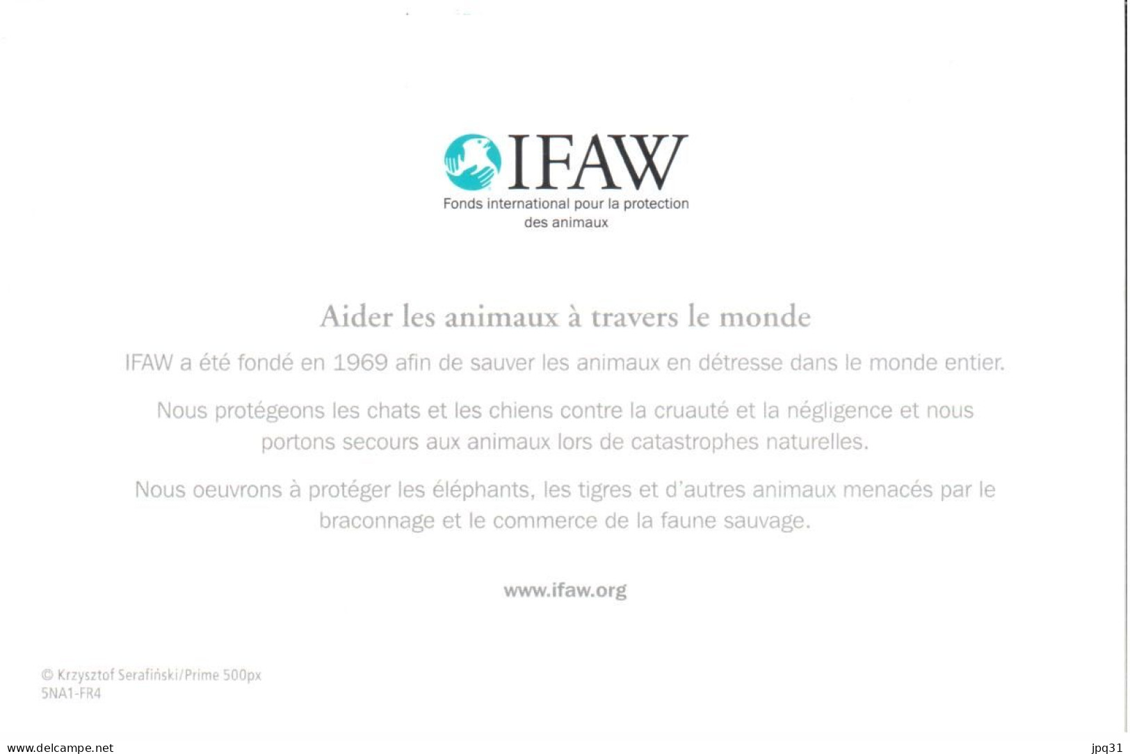 Carte Double IFAW Aider Les Animaux à Travers Le Monde - Chien - Ref 5NA1-FR4 - Chiens