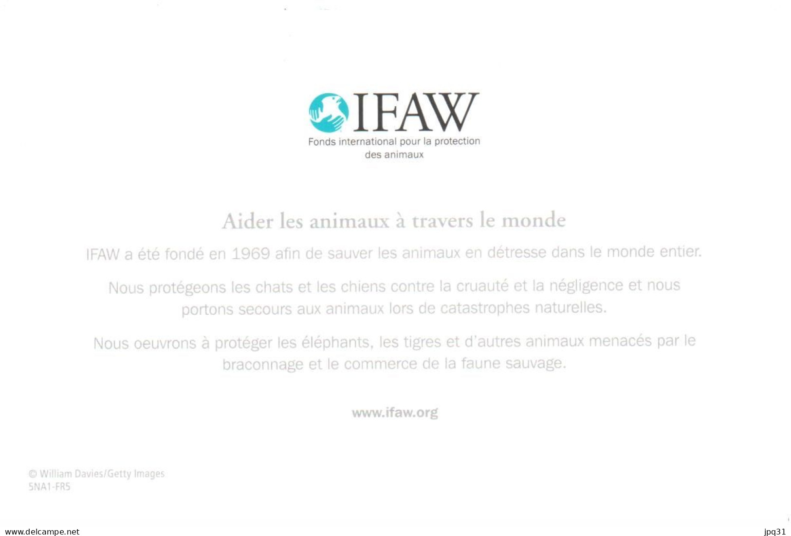 Carte Double IFAW Aider Les Animaux à Travers Le Monde - Lion - Ref 5NA1-FR5 - Löwen