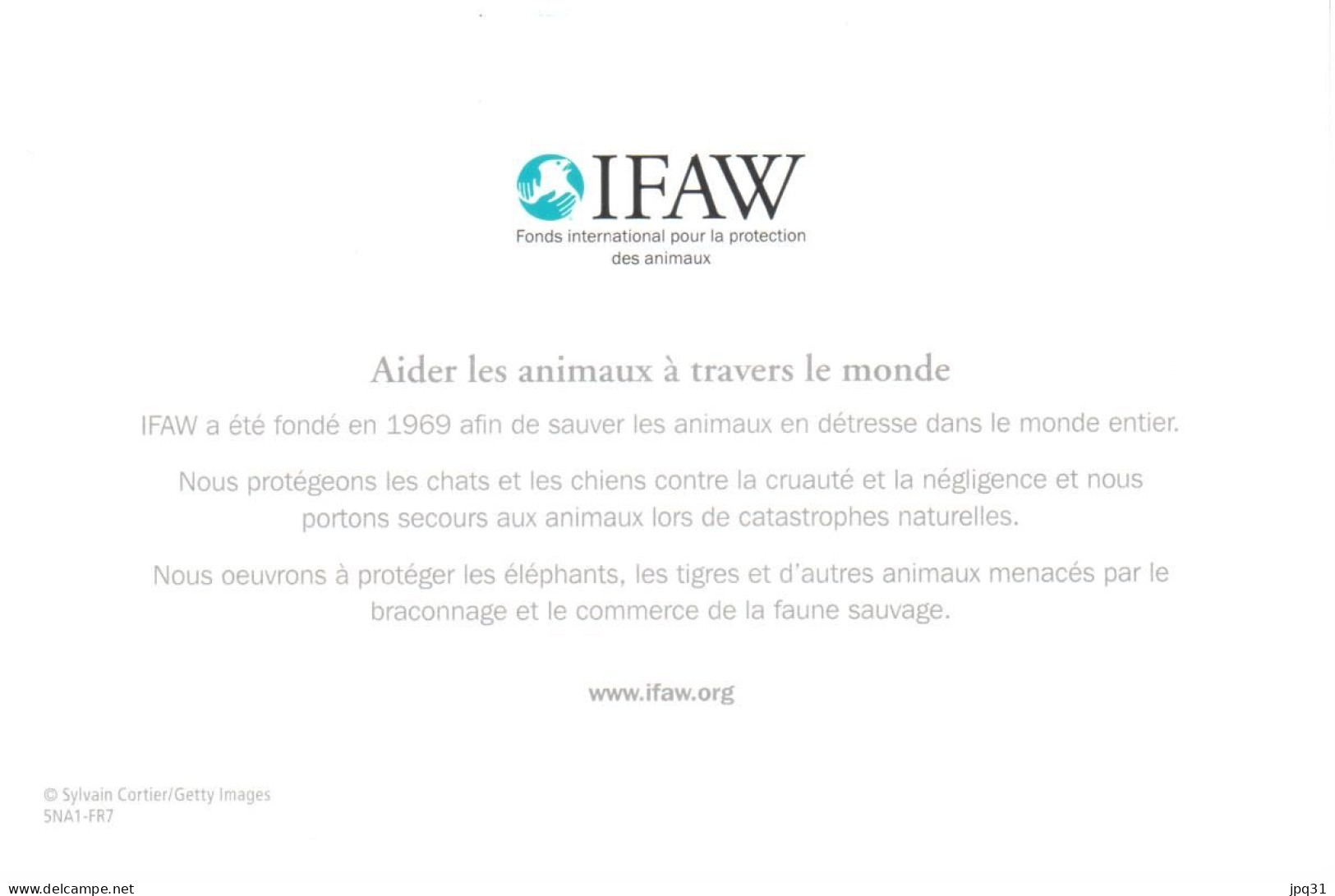 Carte Double IFAW Aider Les Animaux à Travers Le Monde - Bébé Phoque - Ref 5NA1-FR7 - Autres & Non Classés