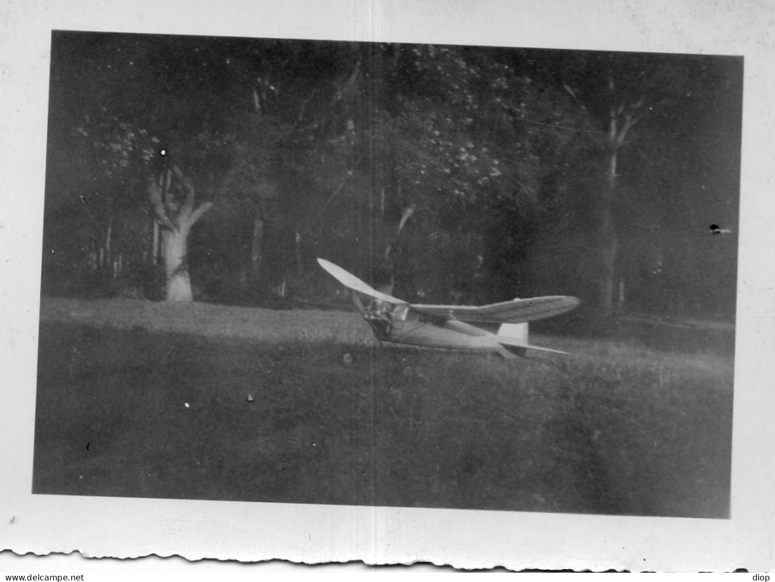 Photographie Photo Vintage Snapshot Modelisme Maquette Avion - Aviación