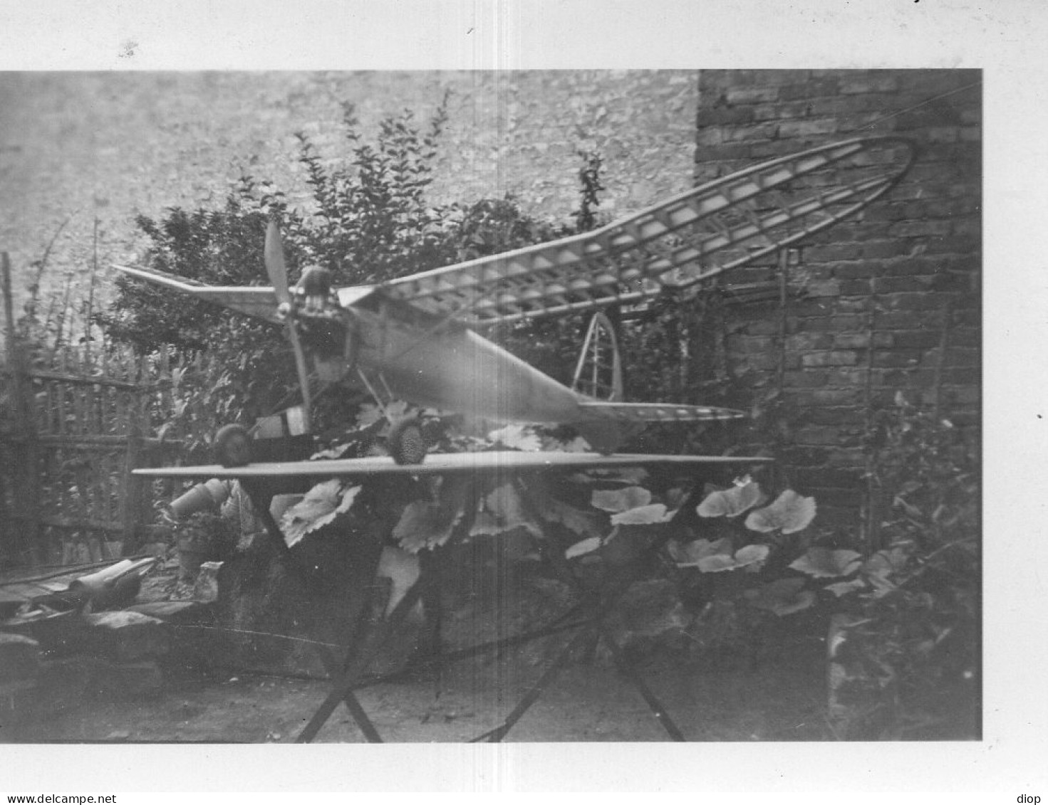 Photographie Photo Vintage Snapshot Modelisme Maquette Avion - Aviación