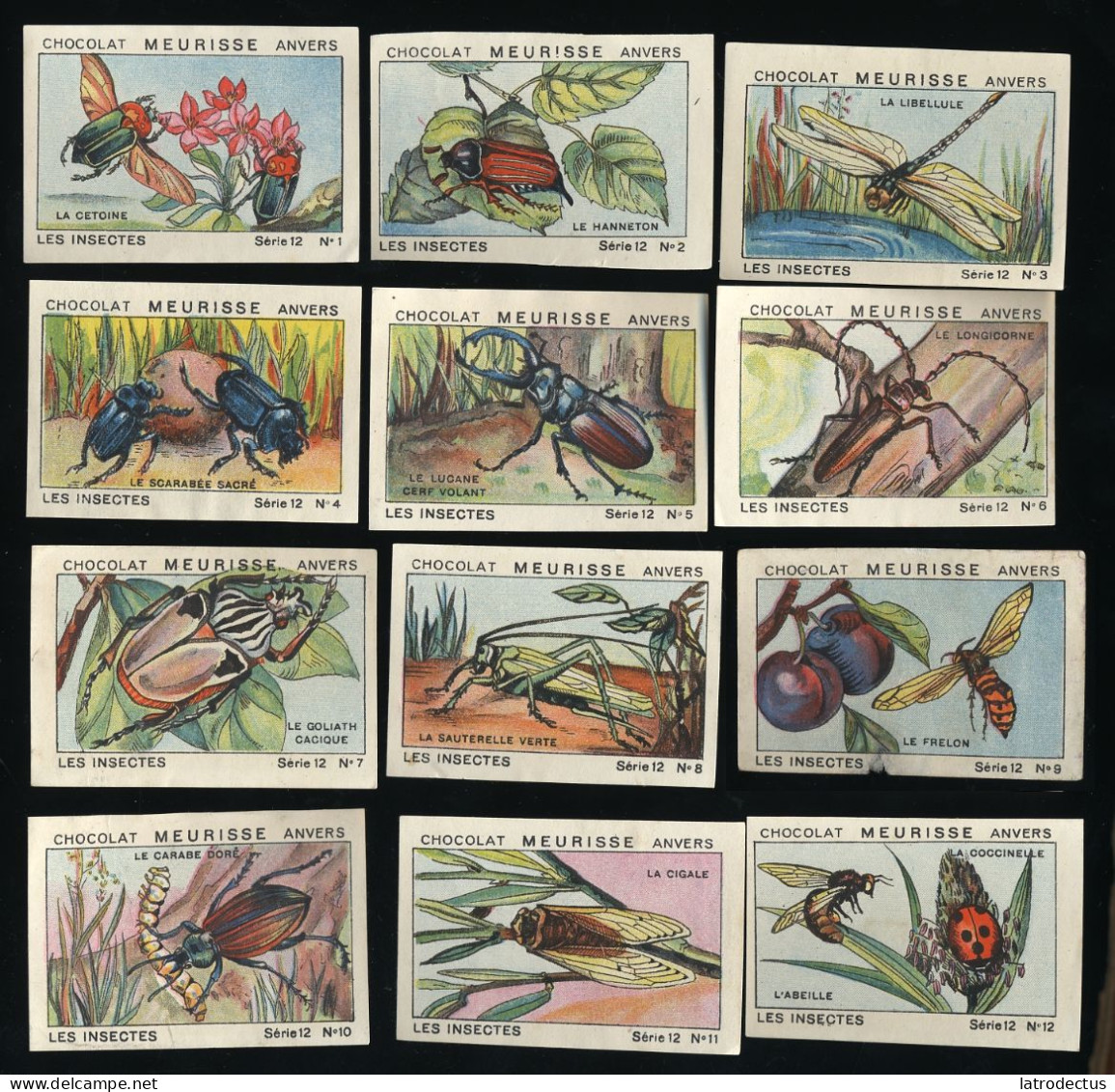 Meurisse - Ca 1930 - 12 - Les Insectes, Insects - Full Serie (no 9 Damaged) - Other & Unclassified