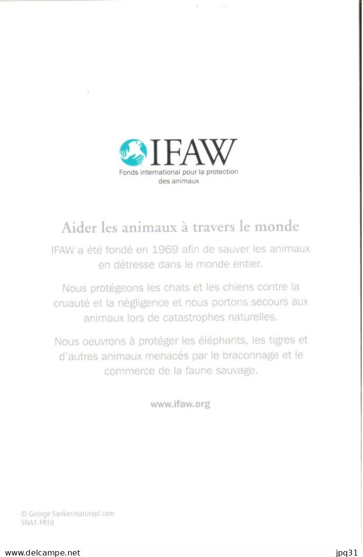 Carte Double IFAW Aider Les Animaux à Travers Le Monde - Ourson - Ref 5NA1-FR10 - Bears