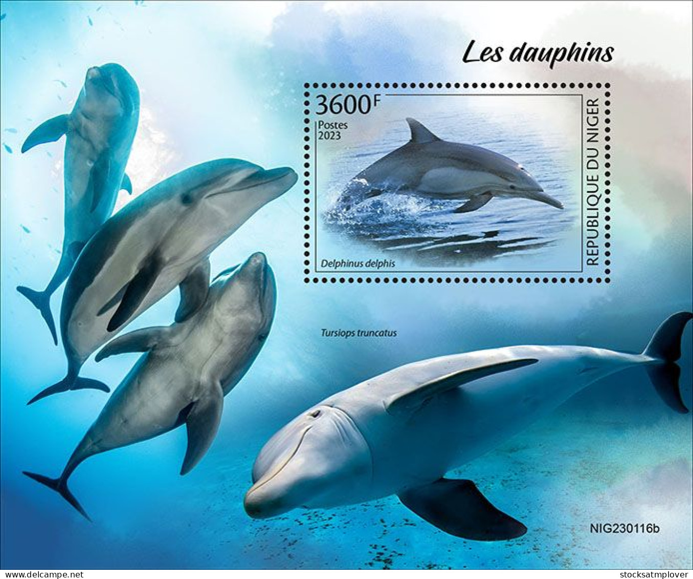 Niger  2023 Marine Life Fish Dolphins S202403 - Níger (1960-...)