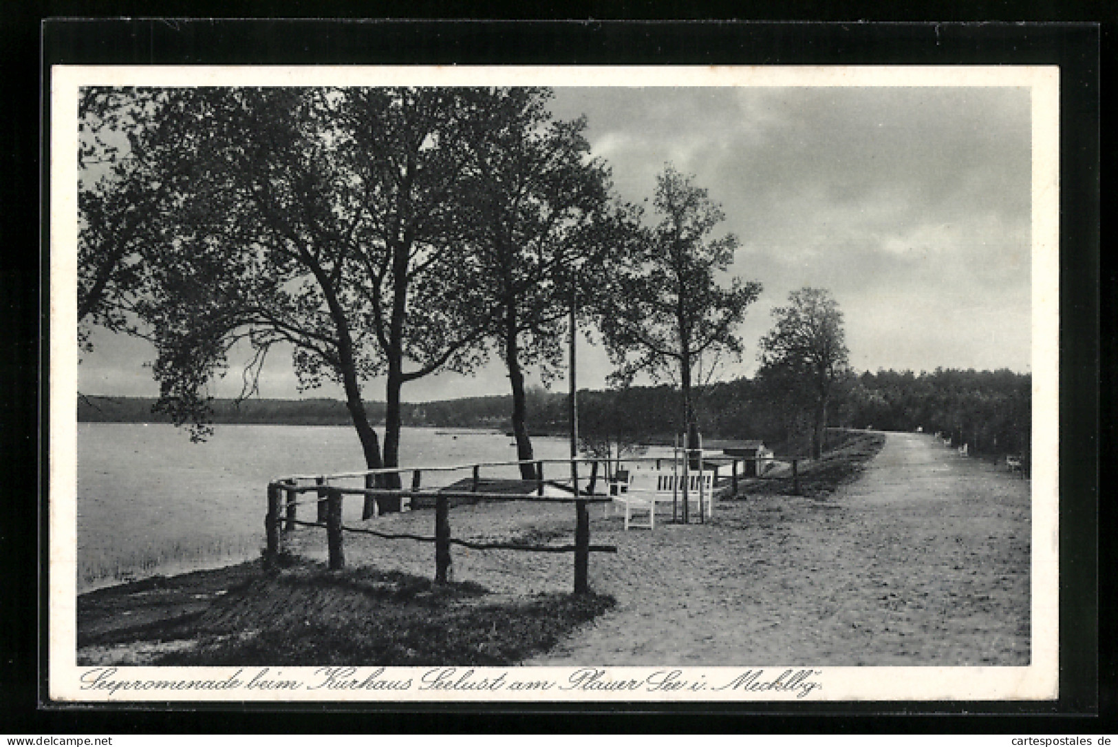 AK Plau Am See /Mecklbg., Kurhaus Seelust Am Plauer See, Strandpromenade  - Plau