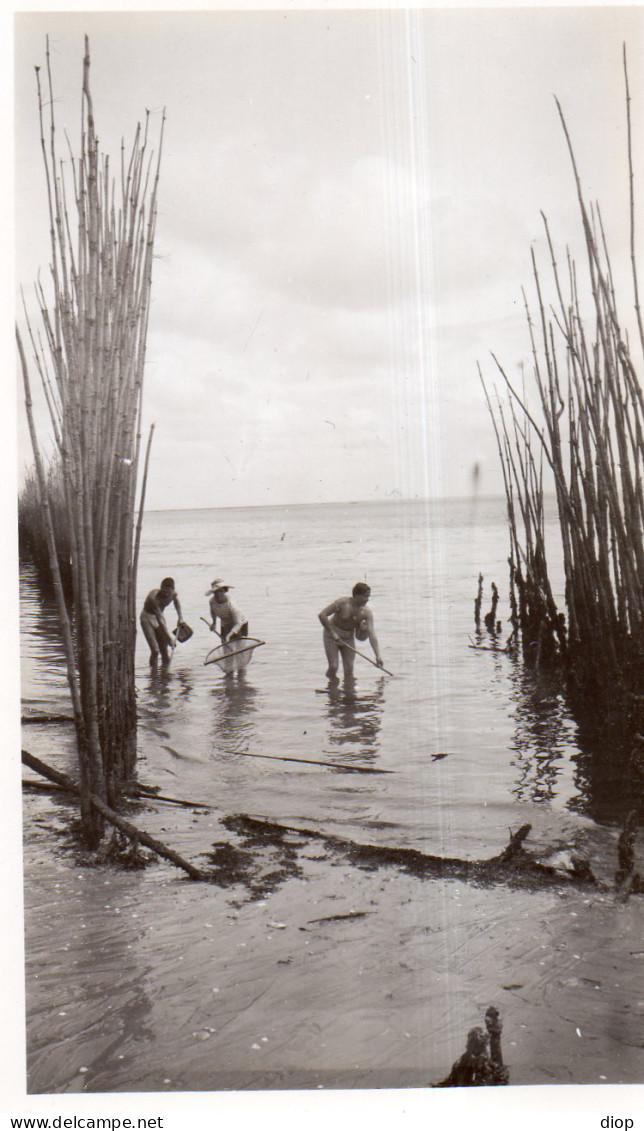 Photographie Photo Vintage Snapshot P&ecirc;che &eacute;puisette Fishing Plage - Otros & Sin Clasificación