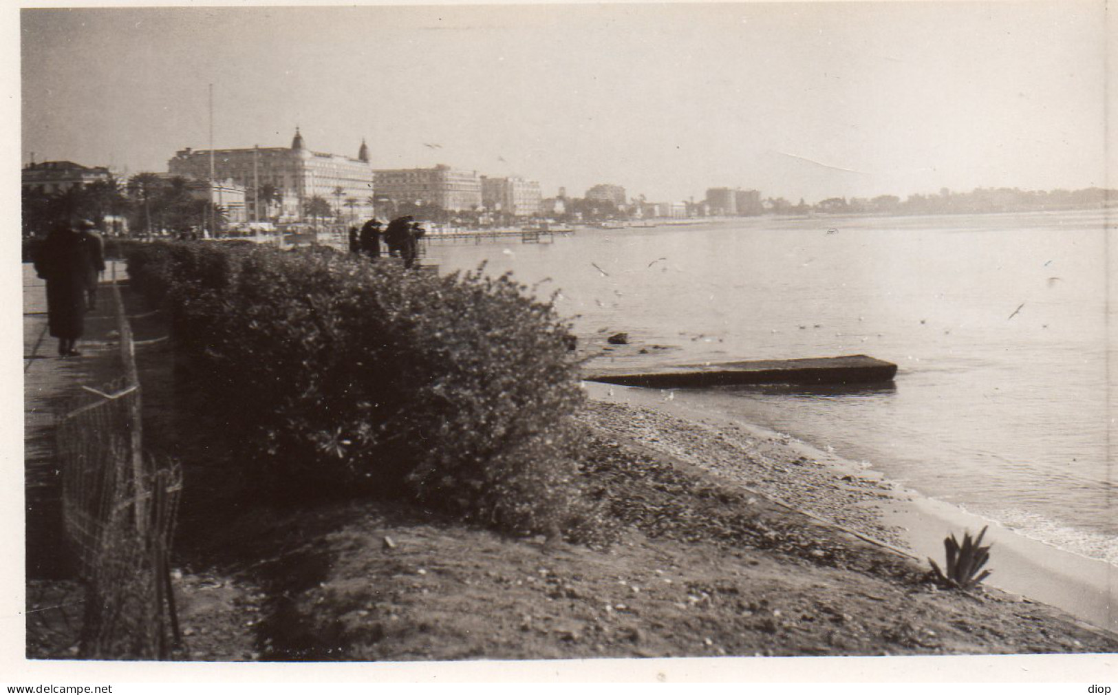 Photographie Photo Vintage Snapshot Cote D&#039;azur Nice ? - Lugares