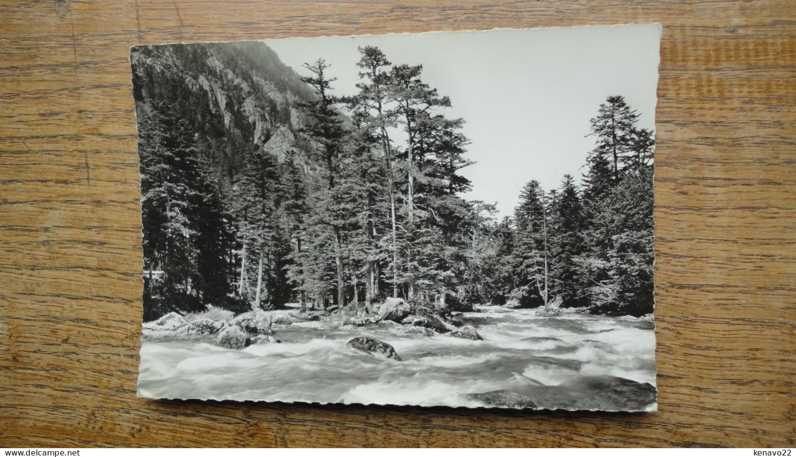 Environs De Cauterets , Le Gave Au Pont D'espagne - Cauterets