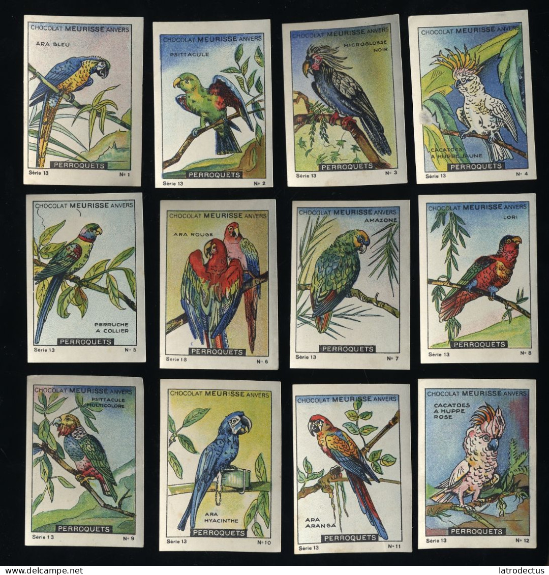 Meurisse - Ca 1930 - 13 - Les Perroquets, Parrots - Full Serie - Other & Unclassified