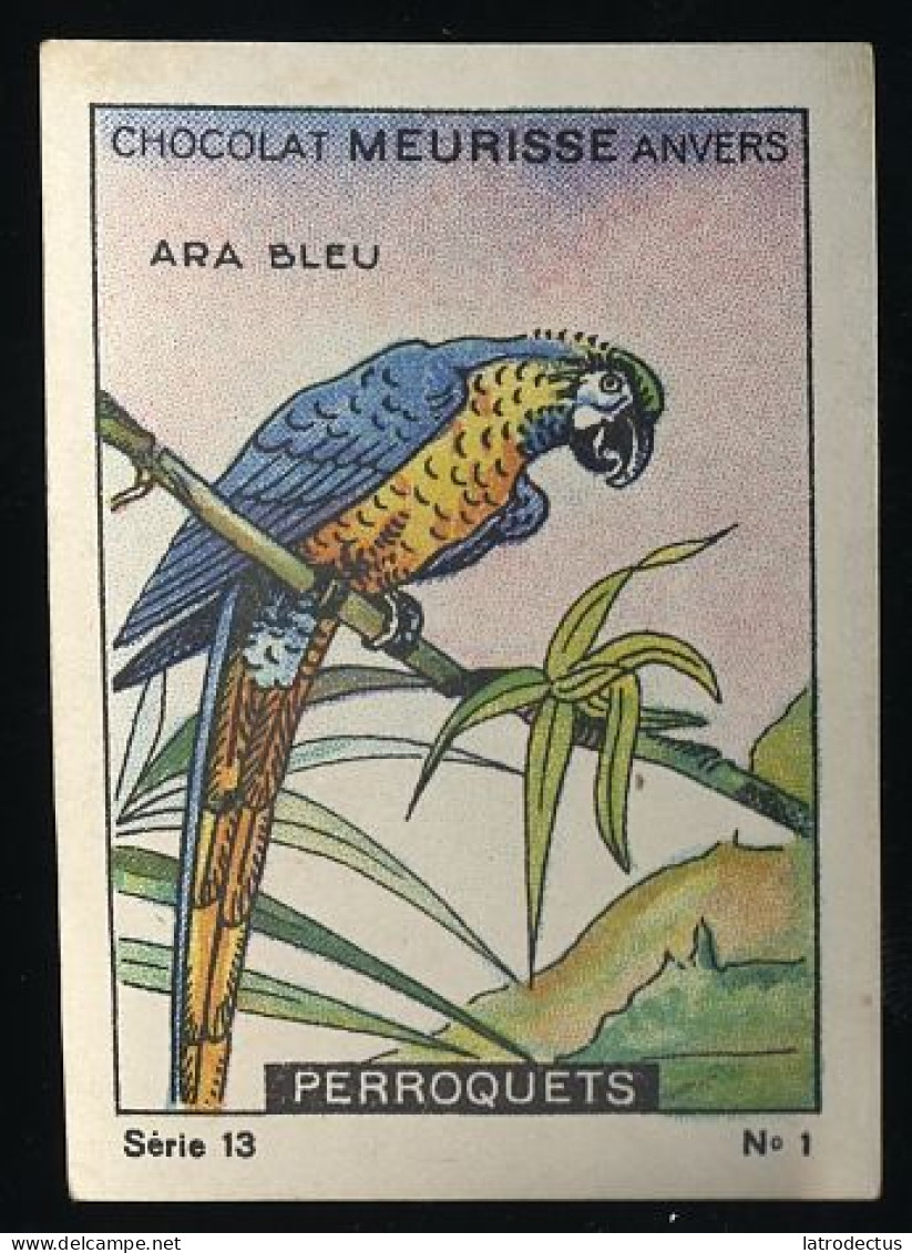 Meurisse - Ca 1930 - 13 - Les Perroquets, Parrots - 1 - Ara Bleu - Other & Unclassified