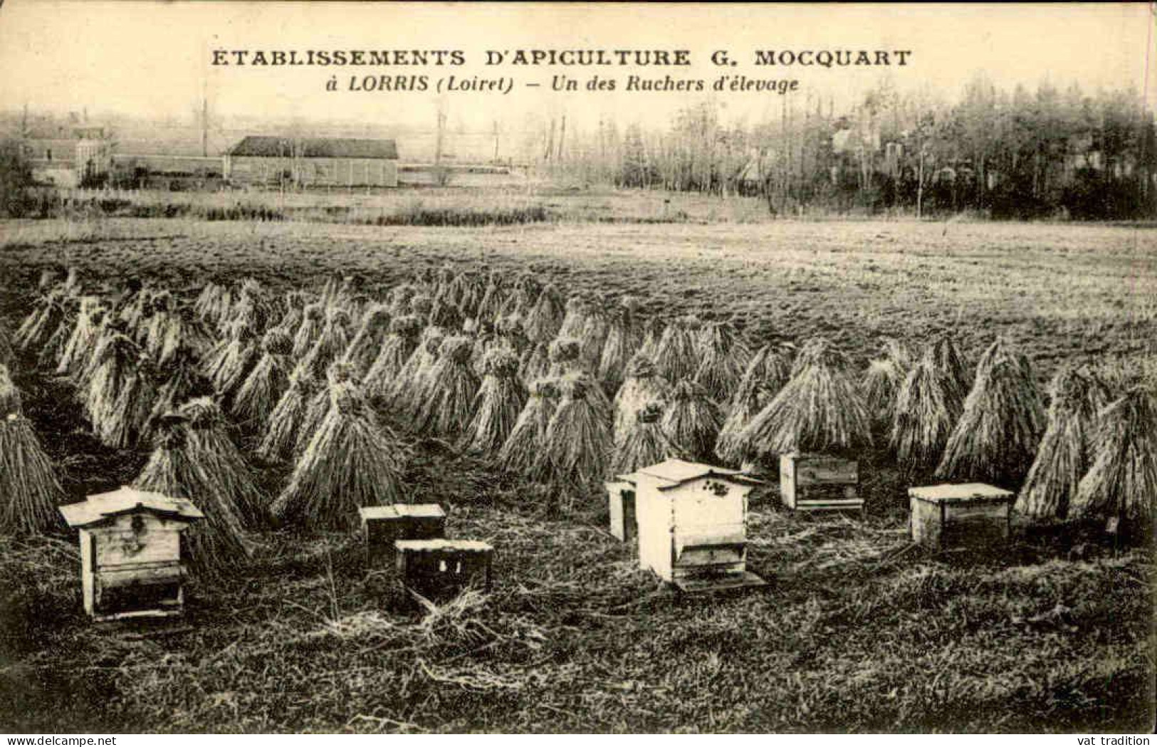 AGRICULTURE - Carte Postale De L'Etablissement D'Apiculture G. Mocquart à Lorris - Un Des Ruchers D’élevage  - L 152088 - Breeding