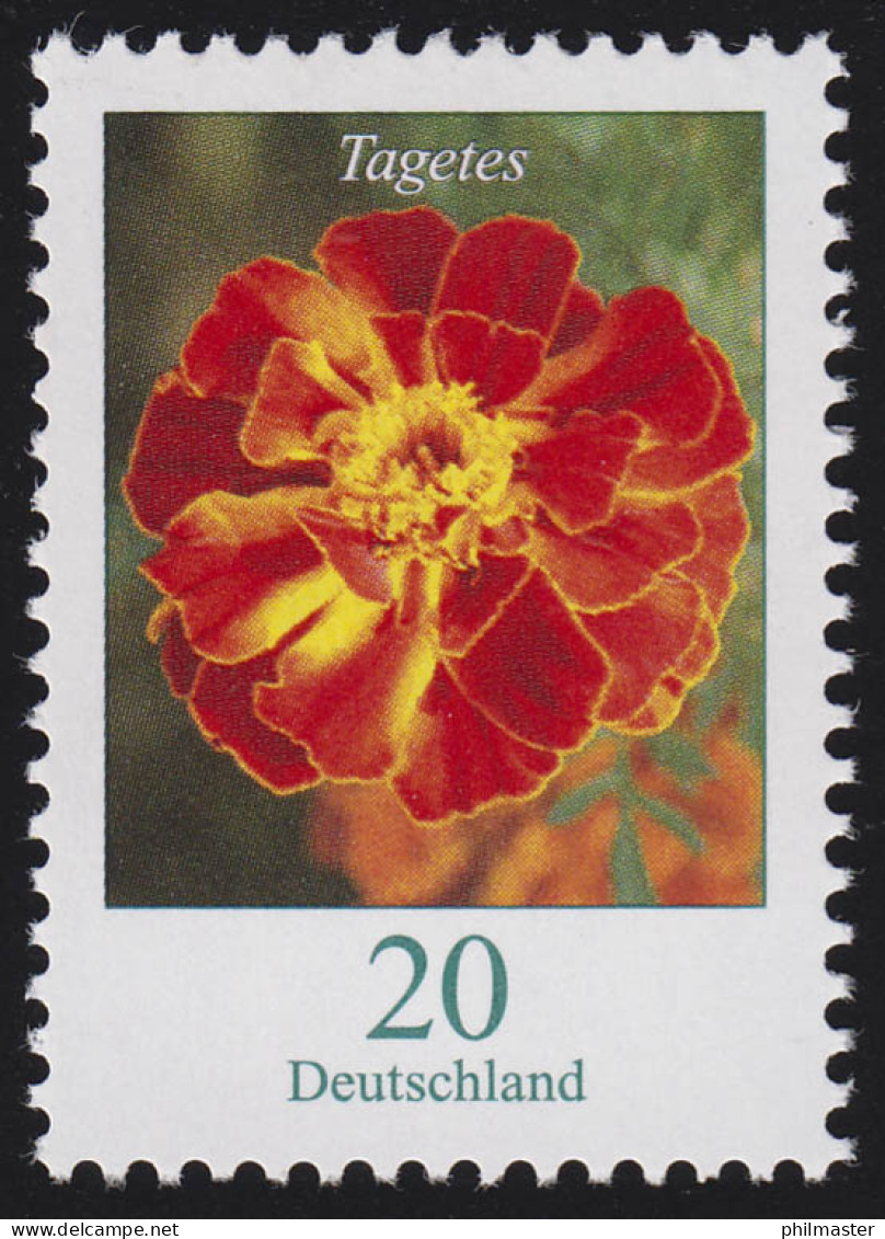 2471A Blumen 20 C Hohe Studentenblume (Tagetes), ** - Ungebraucht