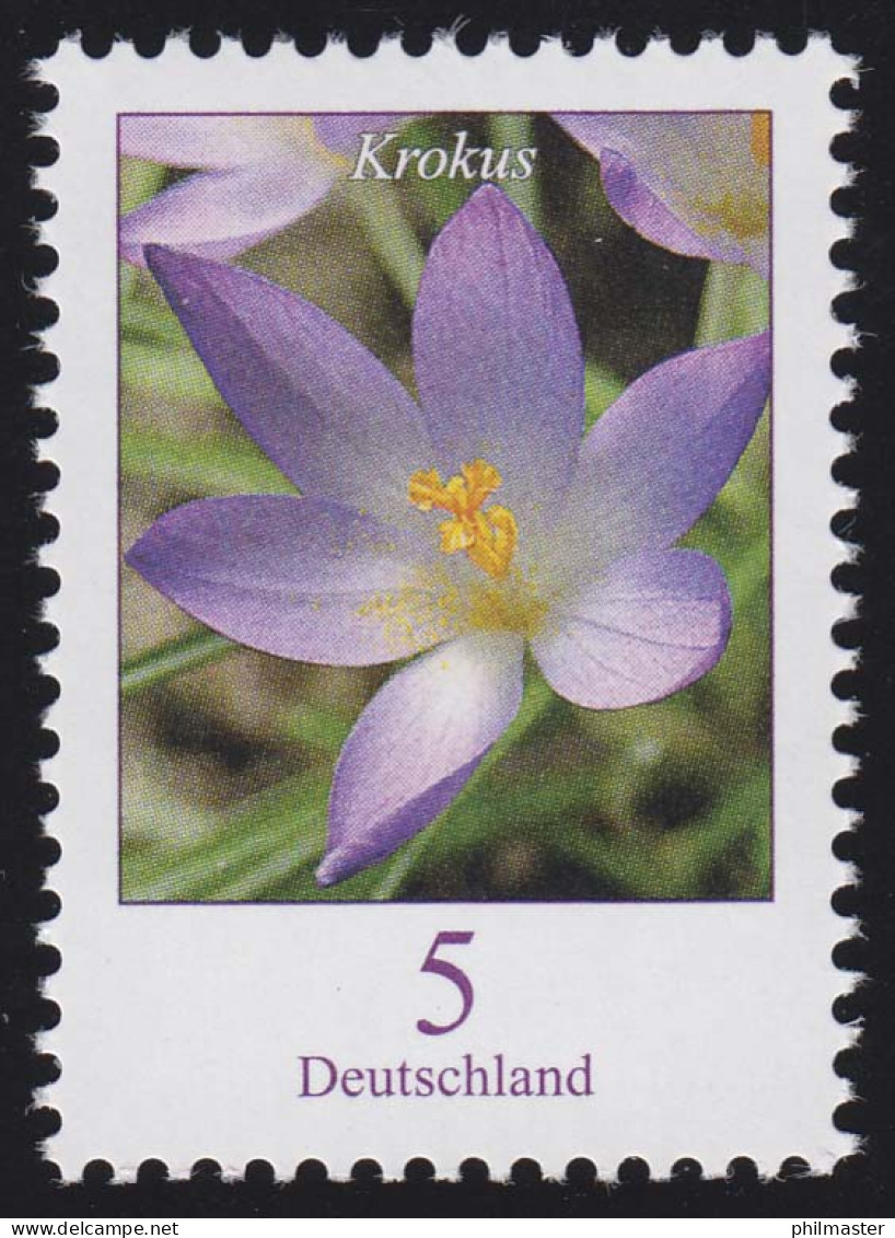 2480A Blumen 5 C Elfenkrokus, ** - Unused Stamps