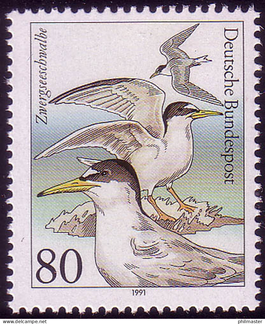 1540 Seevögel 80 Pf Zwergseeschwalbe ** - Ungebraucht