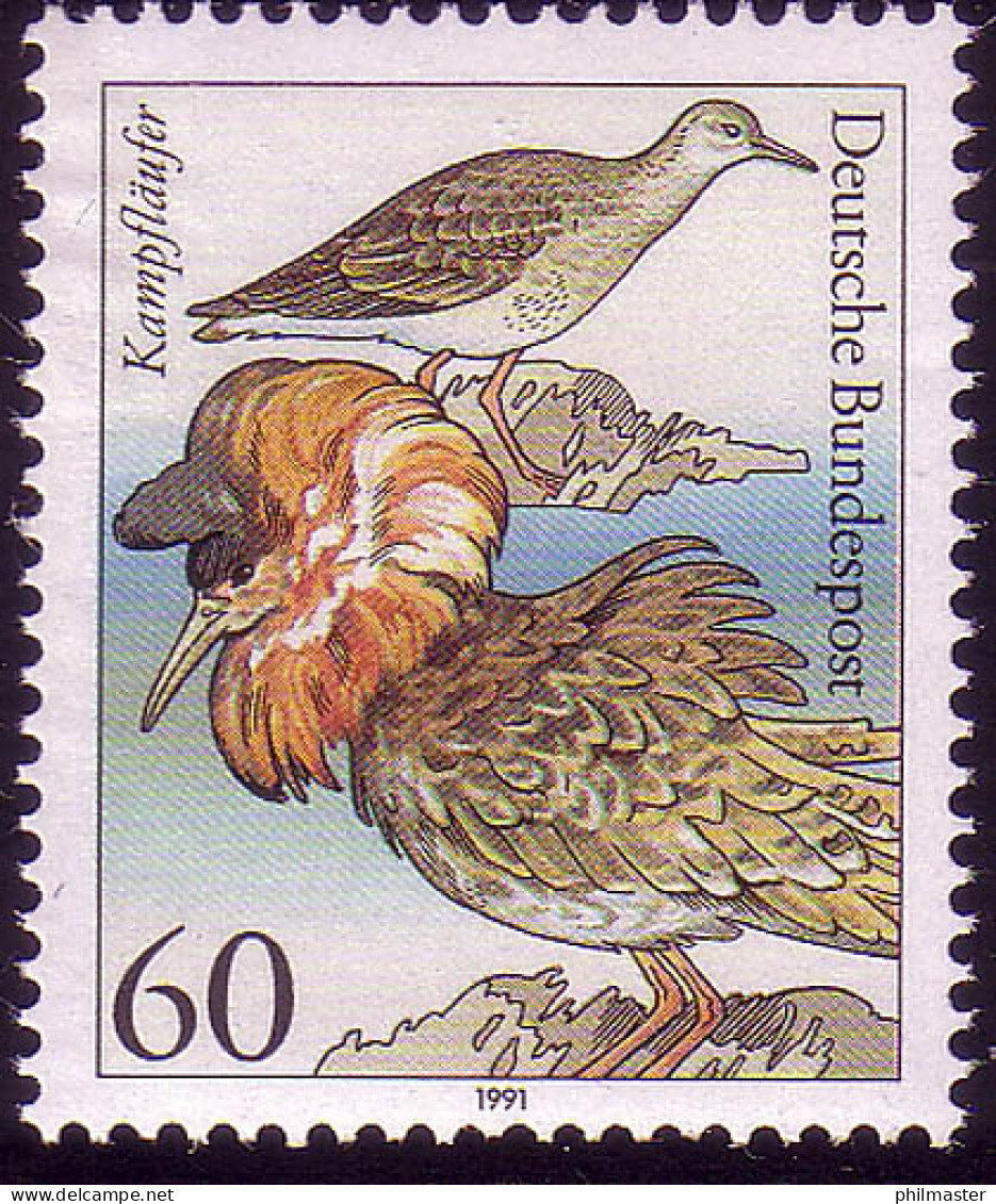 1539 Seevögel 60 Pf Kampfläufer ** - Neufs