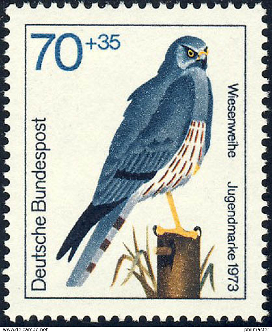 757 Jugend Greifvögel 70+35 Pf Wiesenweihe ** - Unused Stamps