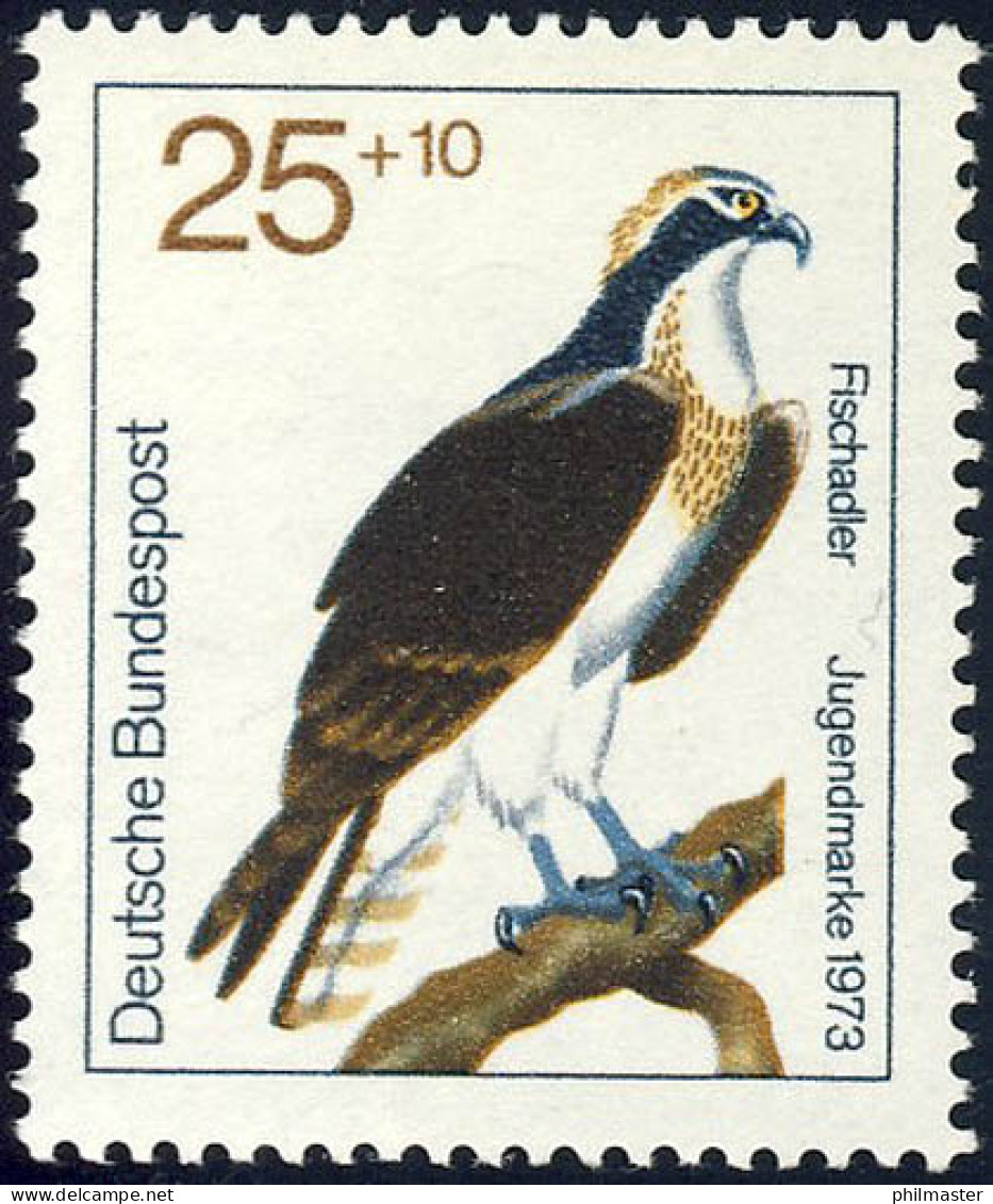 754 Jugend Greifvögel 25+10 Pf Fischadler** - Unused Stamps