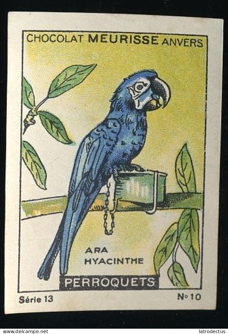 Meurisse - Ca 1930 - 13 - Les Perroquets, Parrots - 10 - Ara - Other & Unclassified