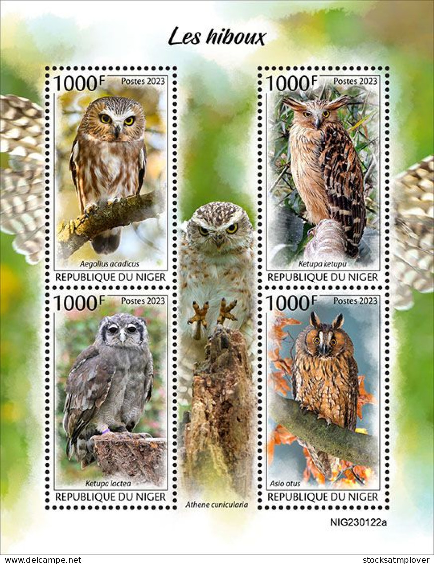 Niger  2023 Birds Owls S202403 - Níger (1960-...)