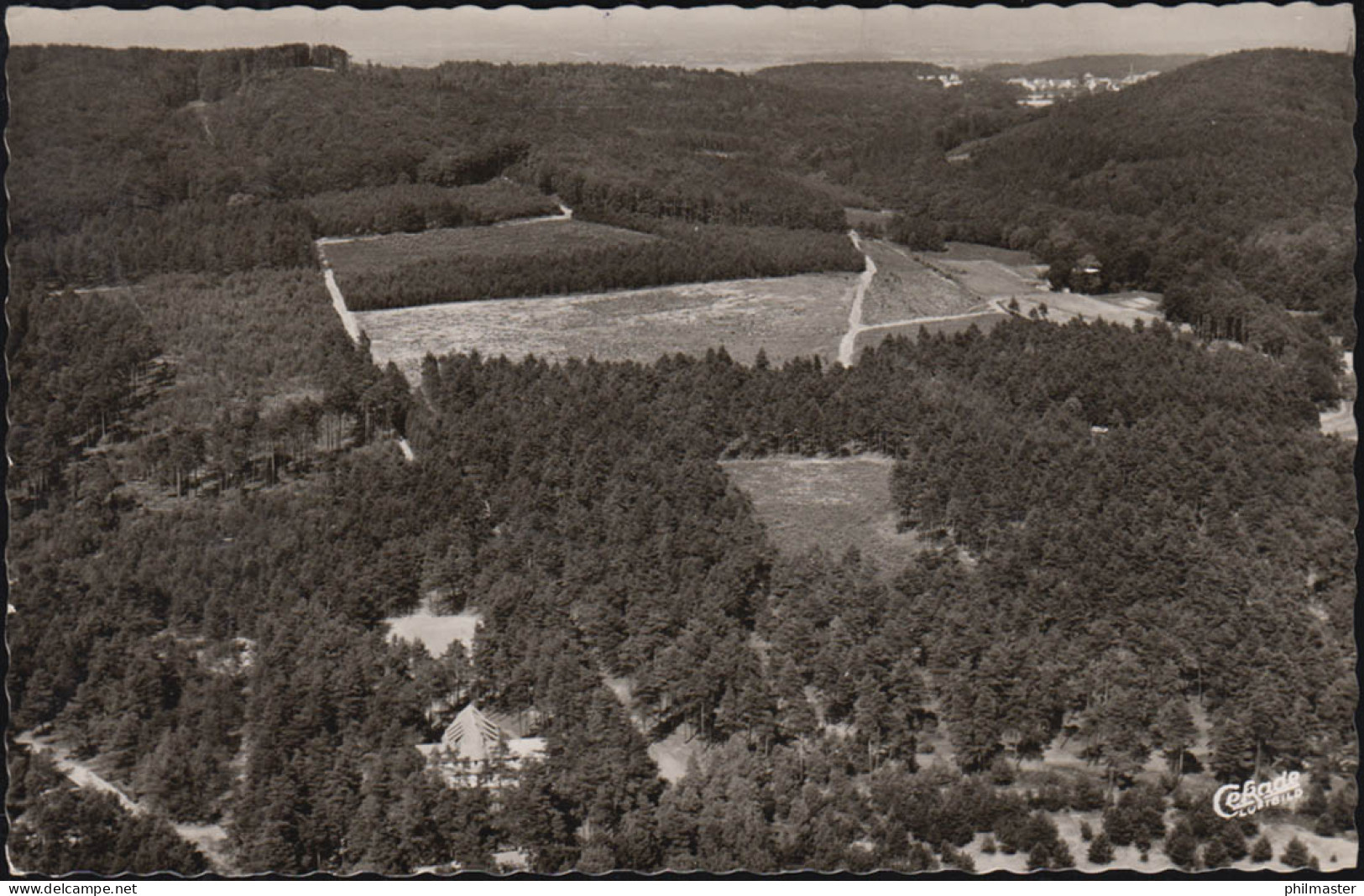 Landpost-Stempel Lipperreihe über BIELEFELD 9.8.1960 Auf AK Fichteheim Senne II - Autres & Non Classés