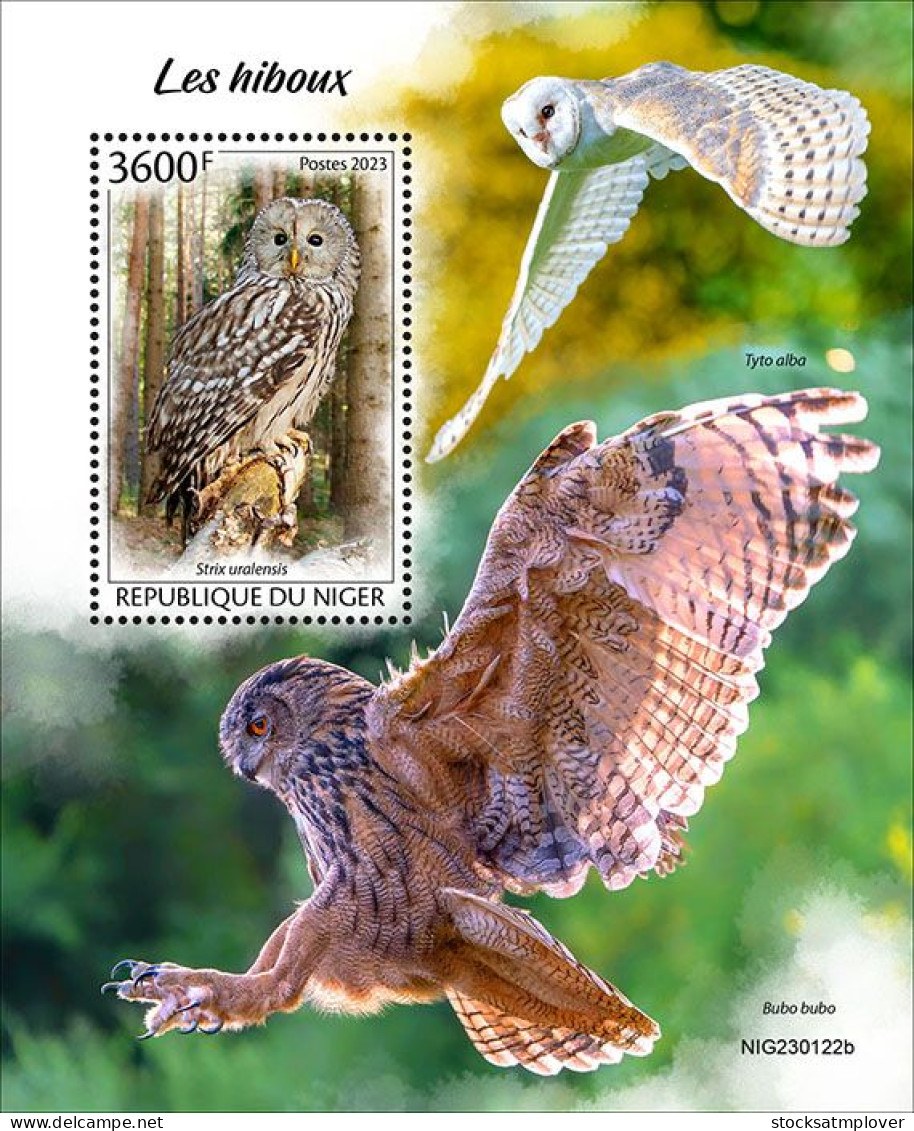 Niger  2023 Birds Owls S202403 - Níger (1960-...)