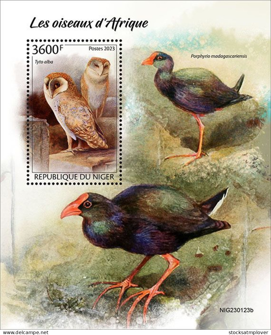 Niger  2023 Birds Birds Of Africa S202403 - Niger (1960-...)