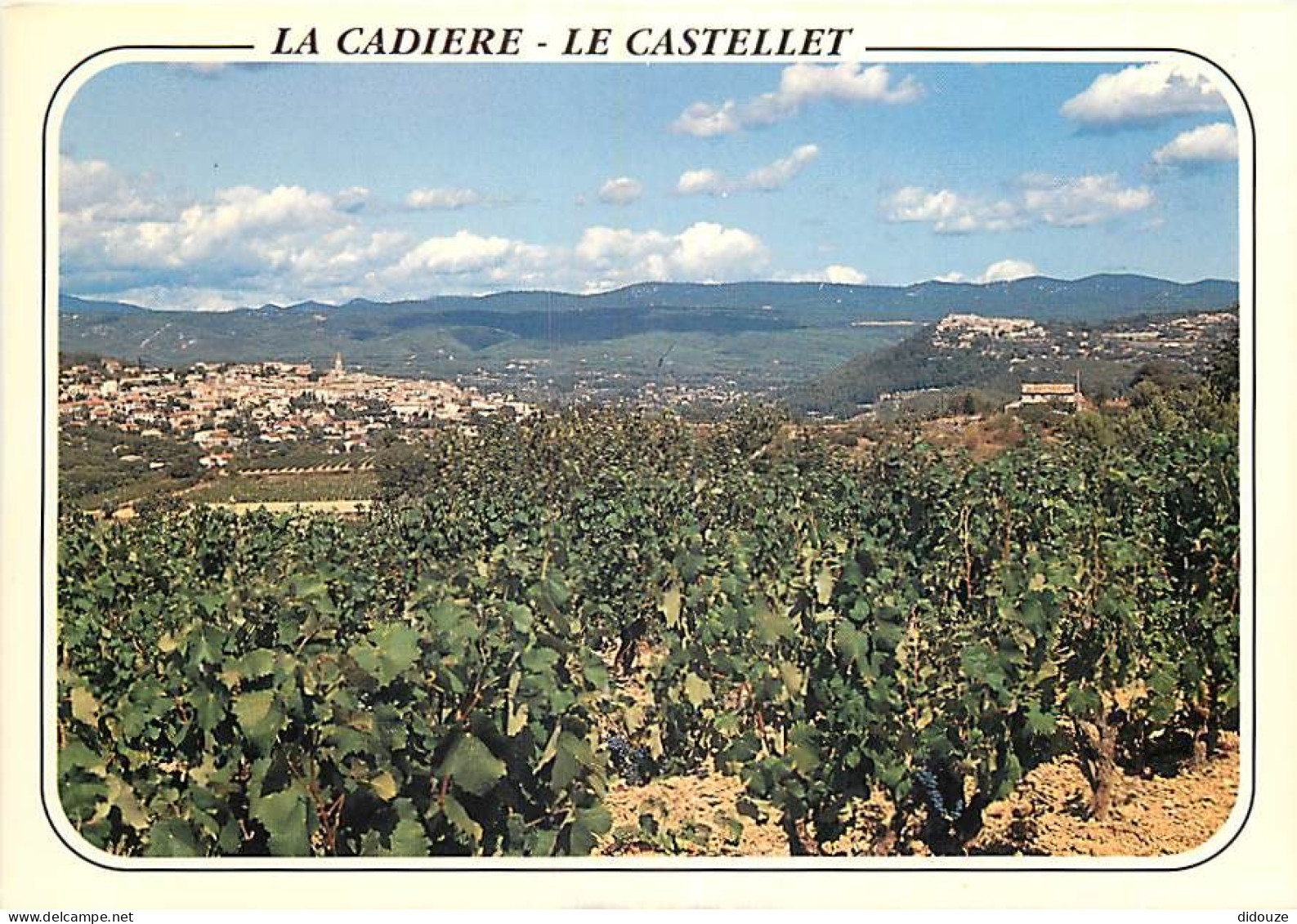 Vignes - La Cadière - Le Castellet - CPM - Carte Neuve - Voir Scans Recto-Verso - Vignes